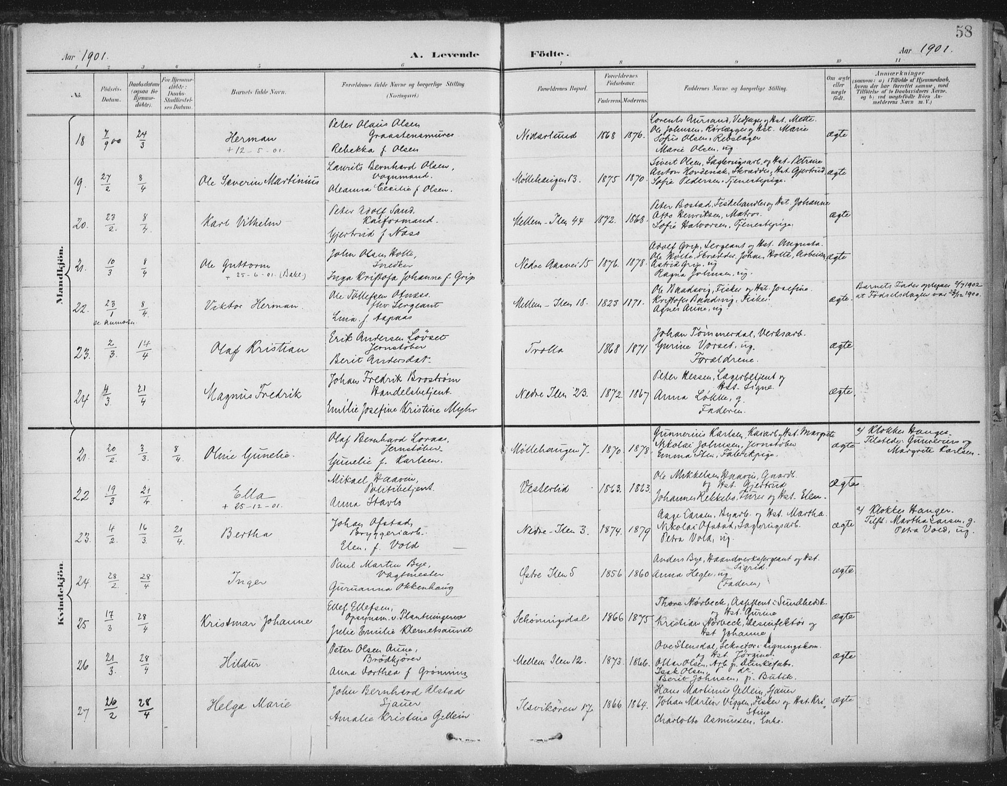 Ministerialprotokoller, klokkerbøker og fødselsregistre - Sør-Trøndelag, SAT/A-1456/603/L0167: Ministerialbok nr. 603A06, 1896-1932, s. 58