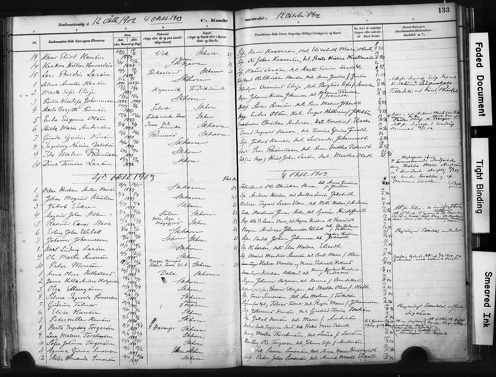 Skudenes sokneprestkontor, AV/SAST-A -101849/H/Ha/Haa/L0008: Ministerialbok nr. A 5, 1882-1912, s. 133