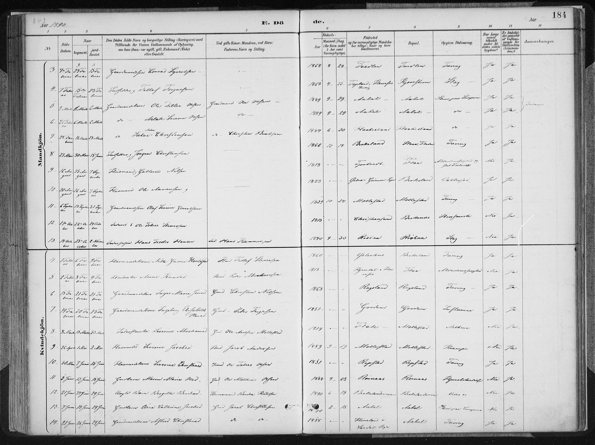 Birkenes sokneprestkontor, SAK/1111-0004/F/Fa/L0005: Ministerialbok nr. A 5, 1887-1907, s. 184
