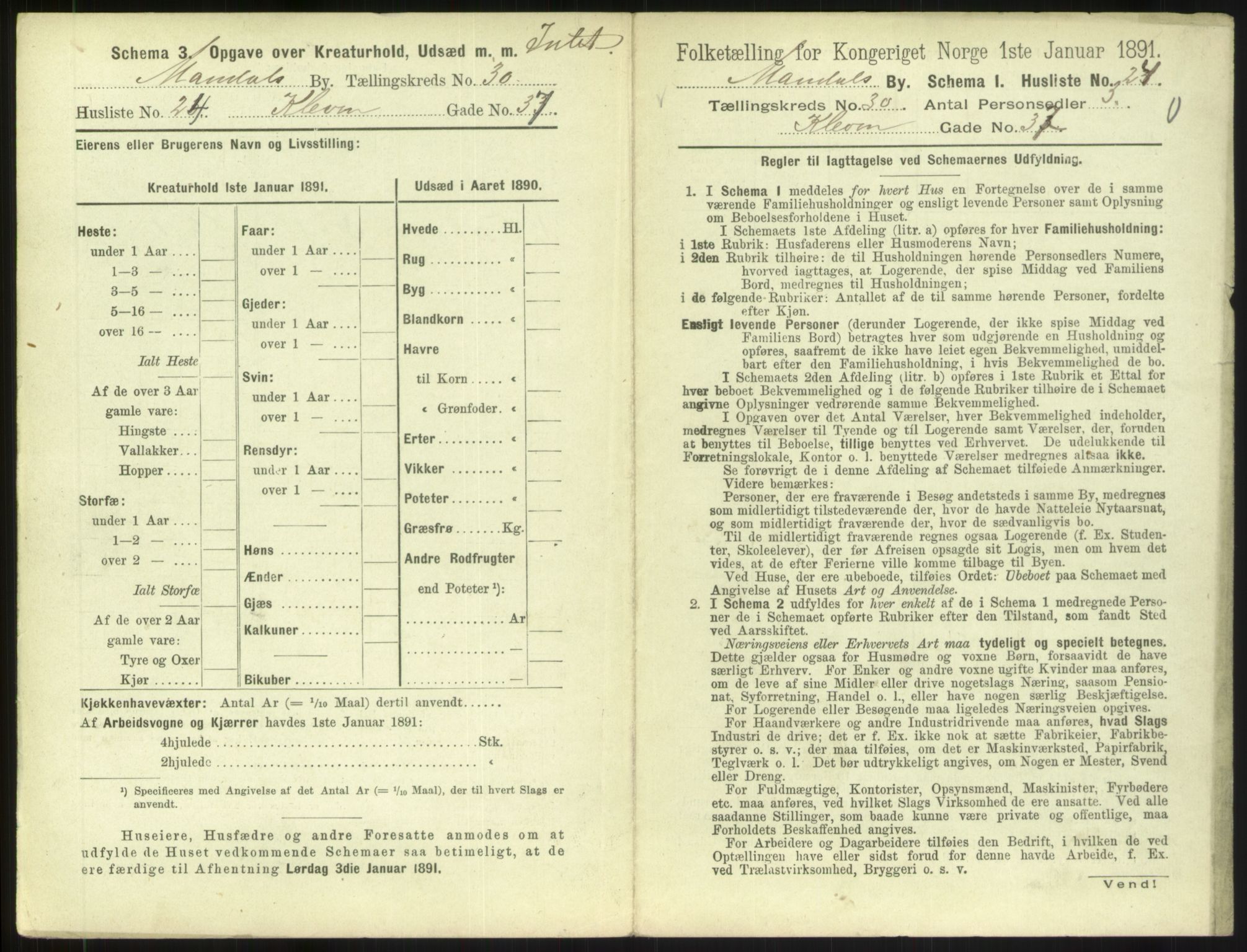 RA, Folketelling 1891 for 1002 Mandal ladested, 1891, s. 1393