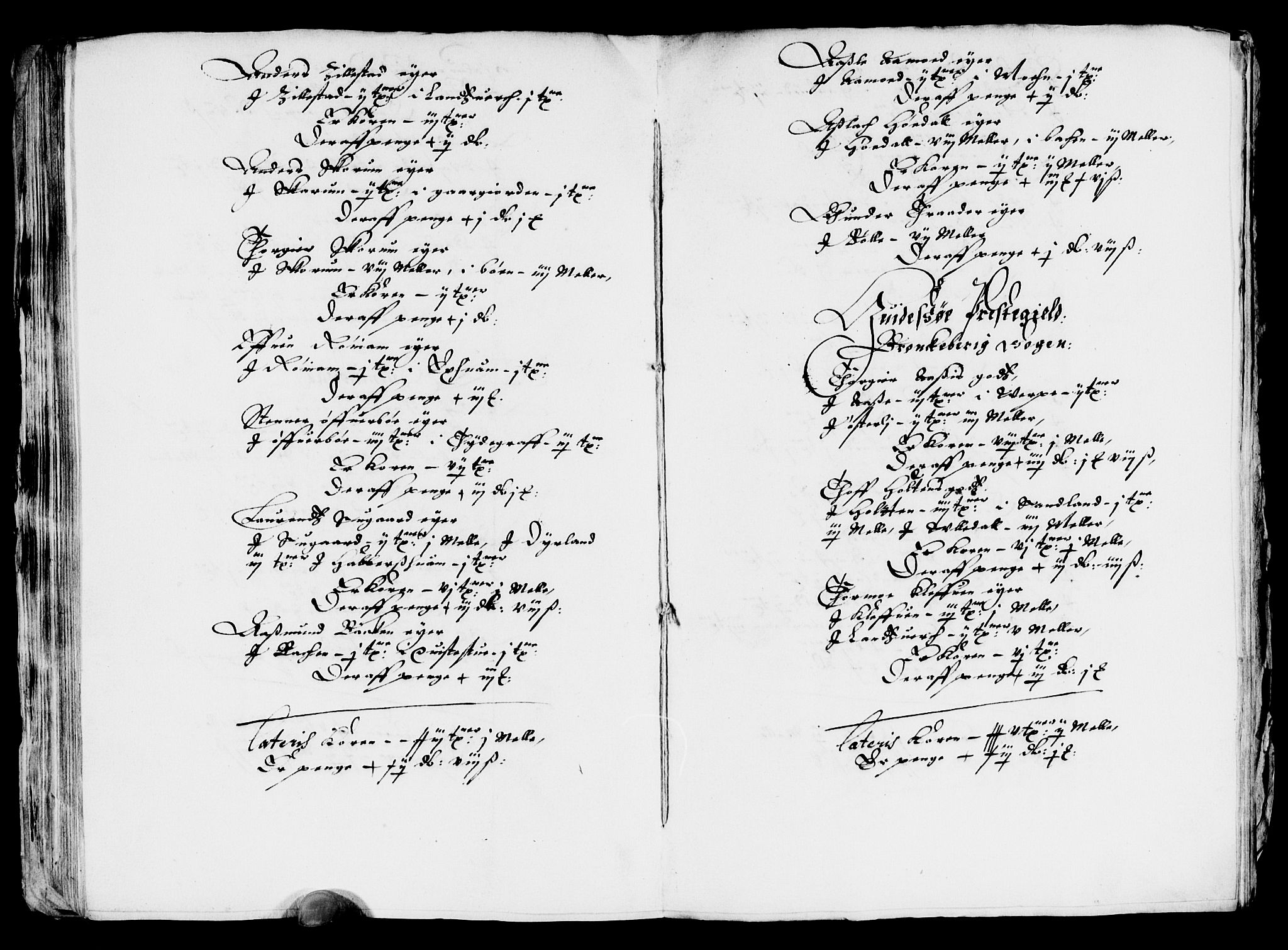 Rentekammeret inntil 1814, Reviderte regnskaper, Lensregnskaper, AV/RA-EA-5023/R/Rb/Rbp/L0033: Bratsberg len, 1646-1648