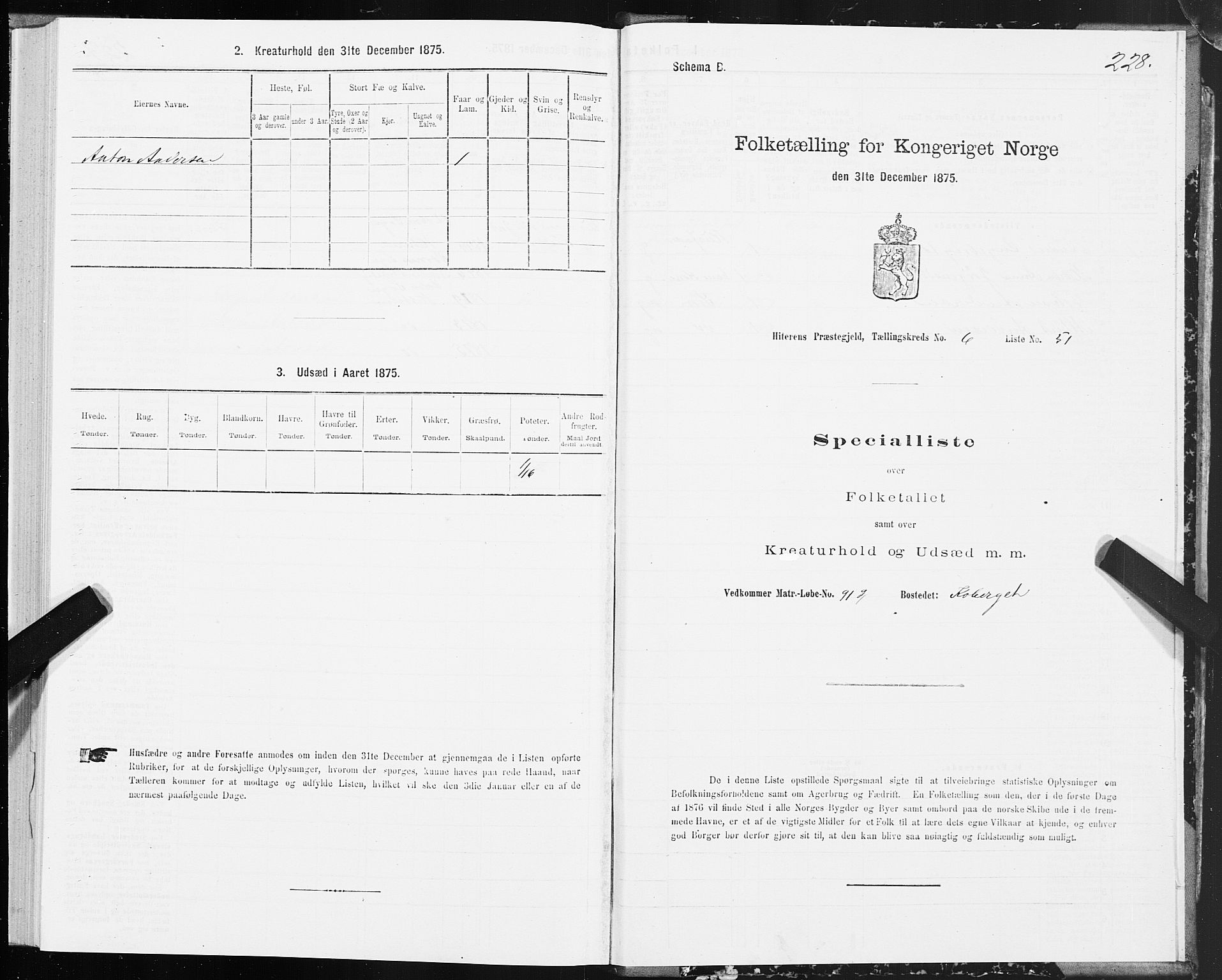 SAT, Folketelling 1875 for 1617P Hitra prestegjeld, 1875, s. 3228