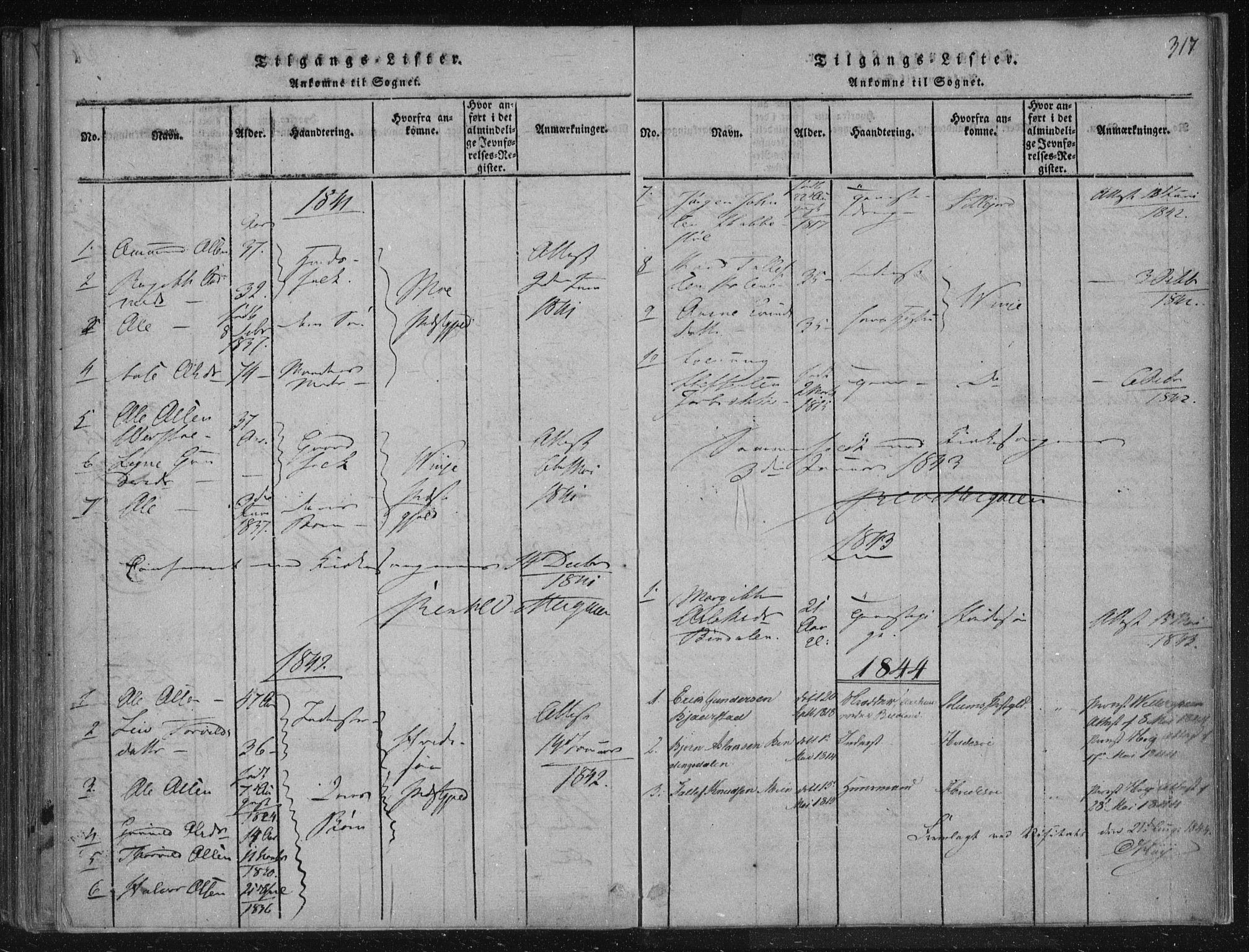Lårdal kirkebøker, SAKO/A-284/F/Fc/L0001: Ministerialbok nr. III 1, 1815-1860, s. 317