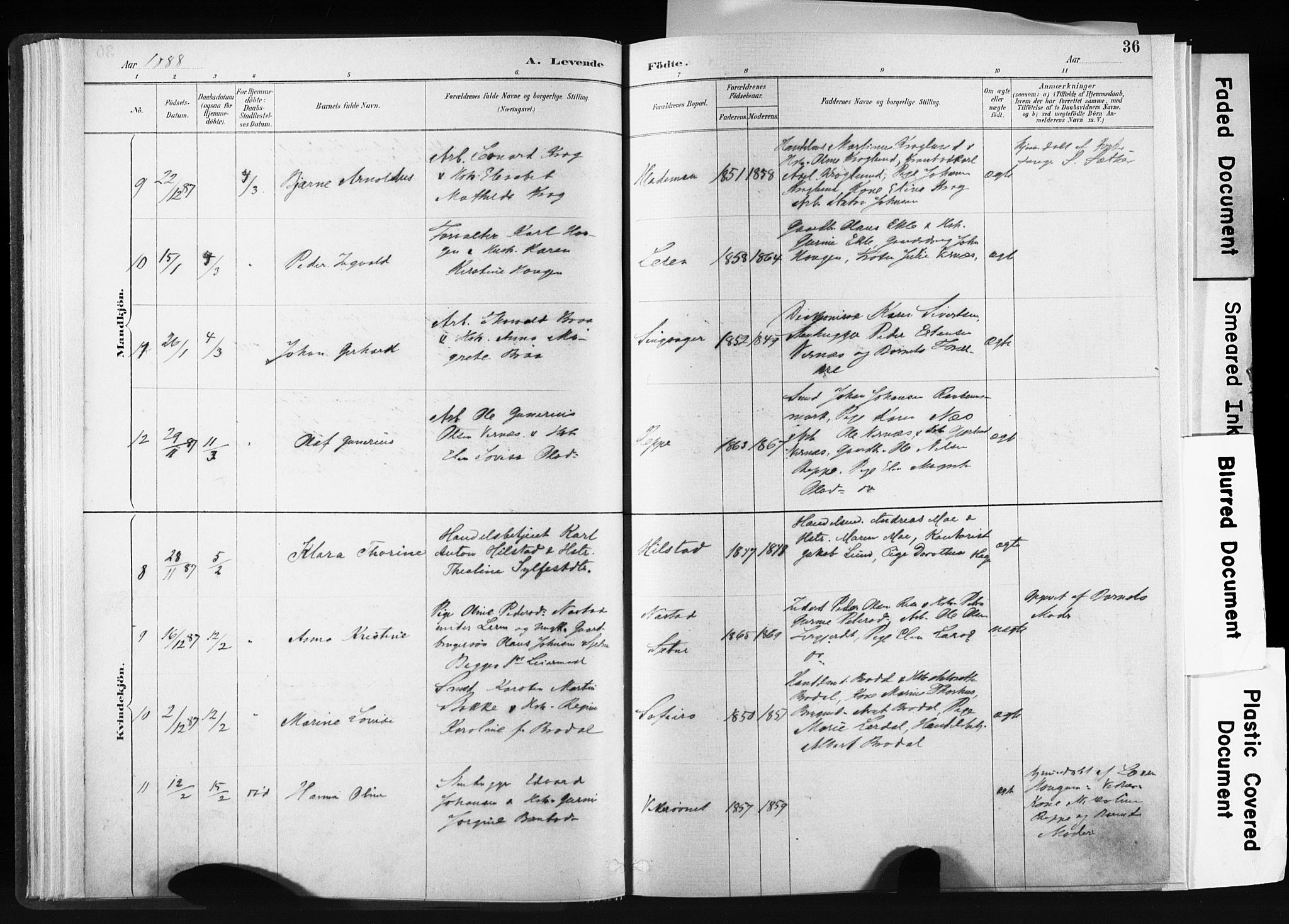 Ministerialprotokoller, klokkerbøker og fødselsregistre - Sør-Trøndelag, SAT/A-1456/606/L0300: Ministerialbok nr. 606A15, 1886-1893, s. 36
