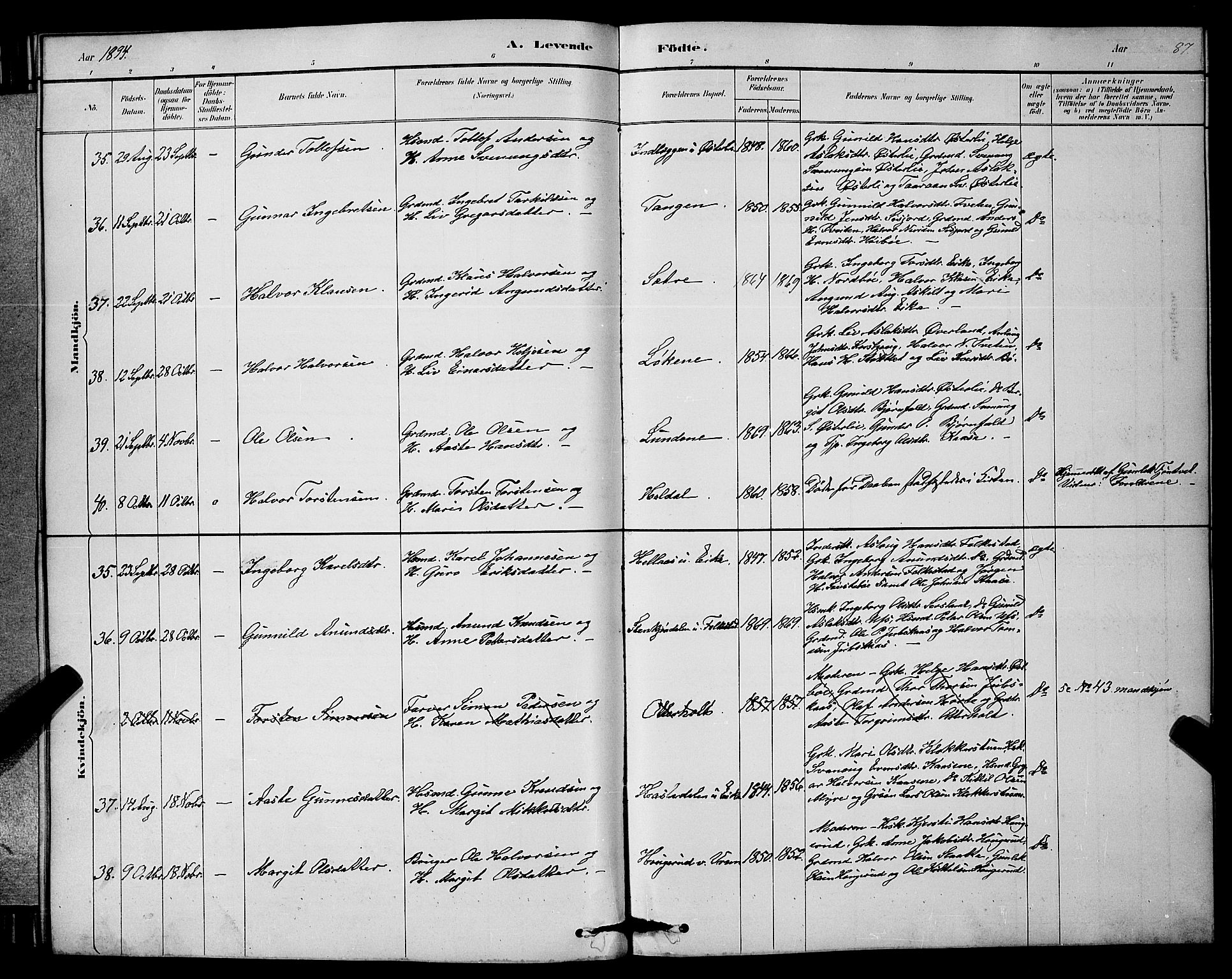 Bø kirkebøker, AV/SAKO-A-257/G/Ga/L0005: Klokkerbok nr. 5, 1883-1897, s. 87