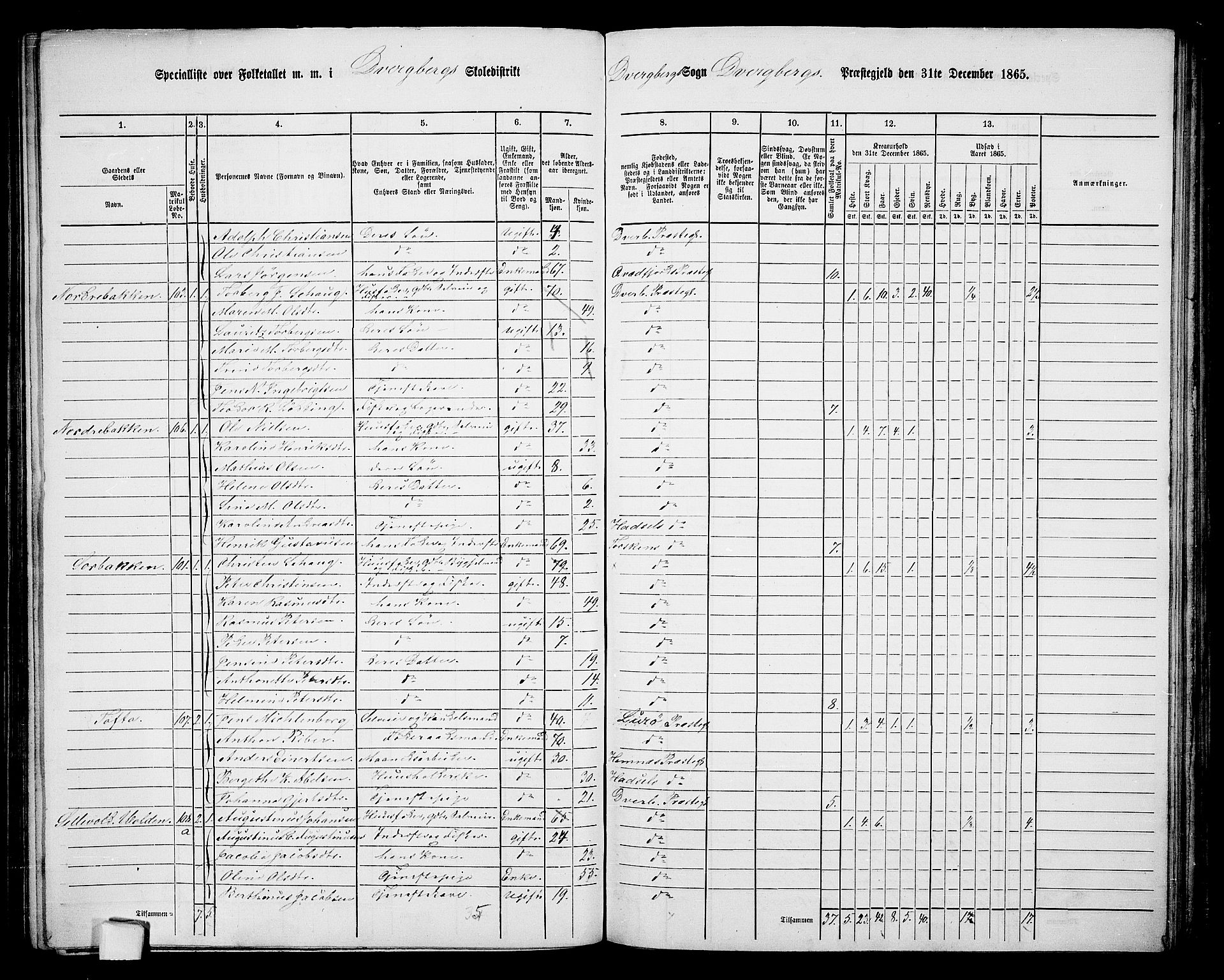 RA, Folketelling 1865 for 1872P Dverberg prestegjeld, 1865, s. 7