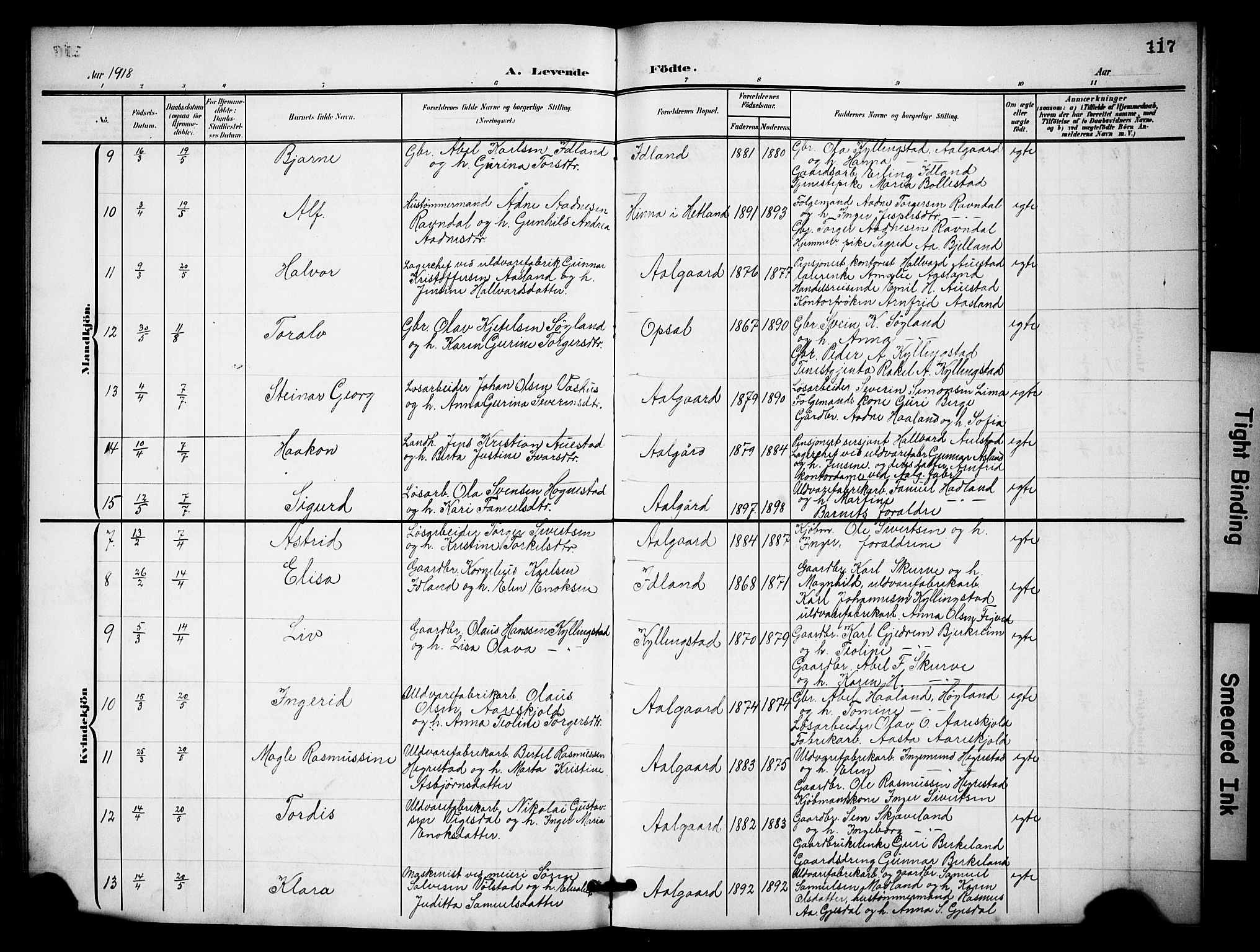 Lye sokneprestkontor, AV/SAST-A-101794/001/30BB/L0009: Klokkerbok nr. B 9, 1902-1923, s. 117