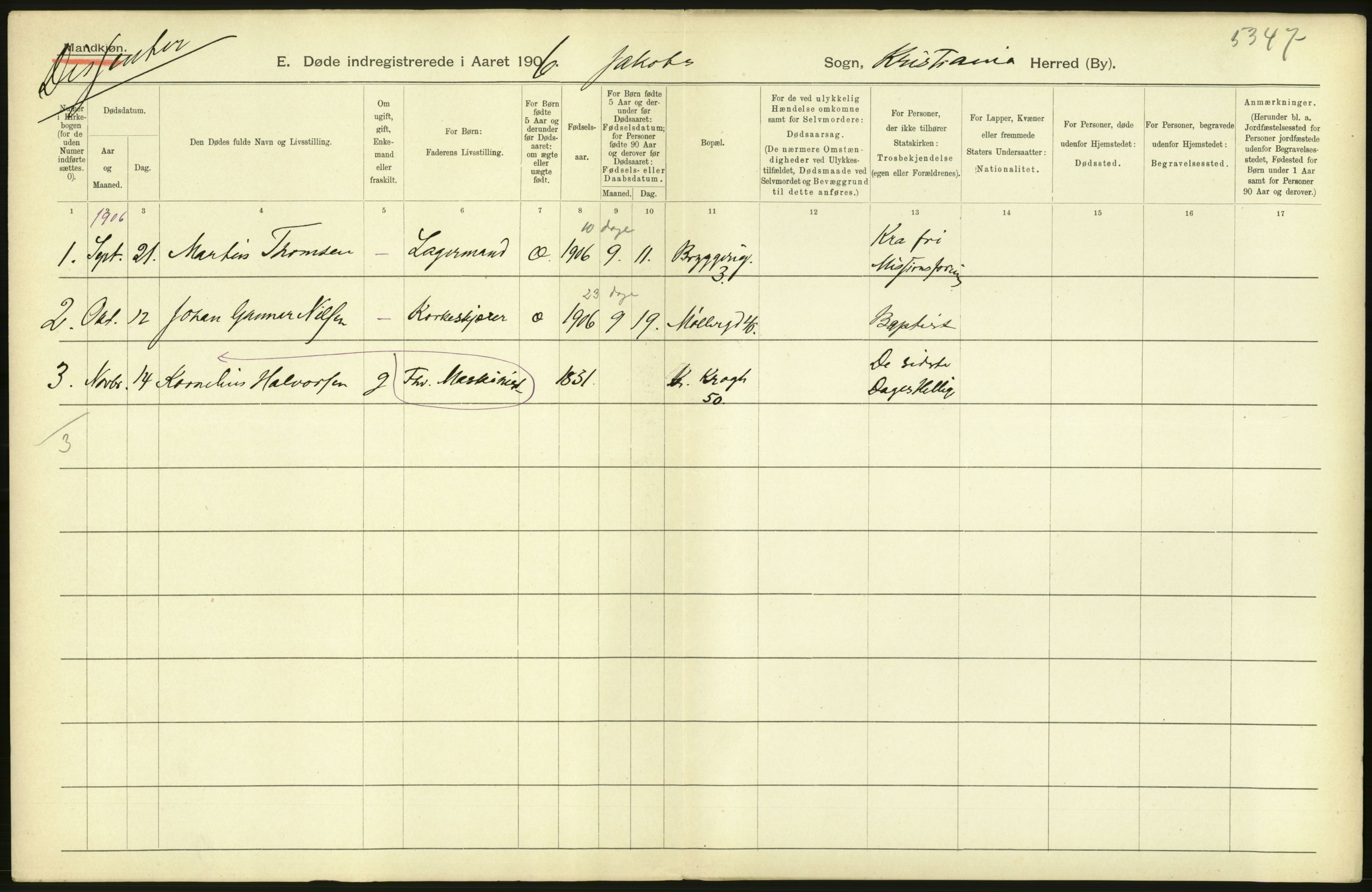 Statistisk sentralbyrå, Sosiodemografiske emner, Befolkning, AV/RA-S-2228/D/Df/Dfa/Dfad/L0009: Kristiania: Døde, 1906, s. 94