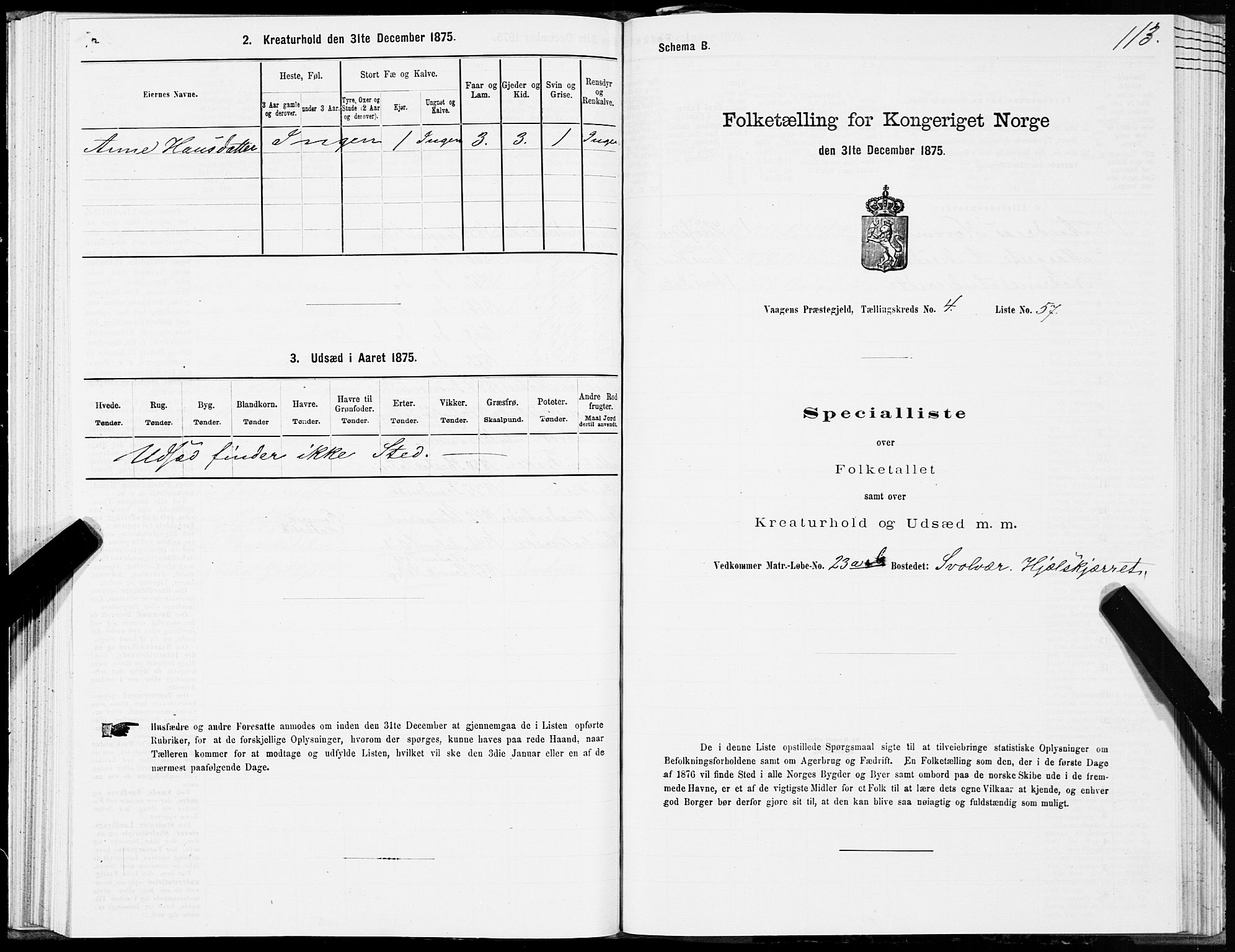 SAT, Folketelling 1875 for 1865P Vågan prestegjeld, 1875, s. 3113