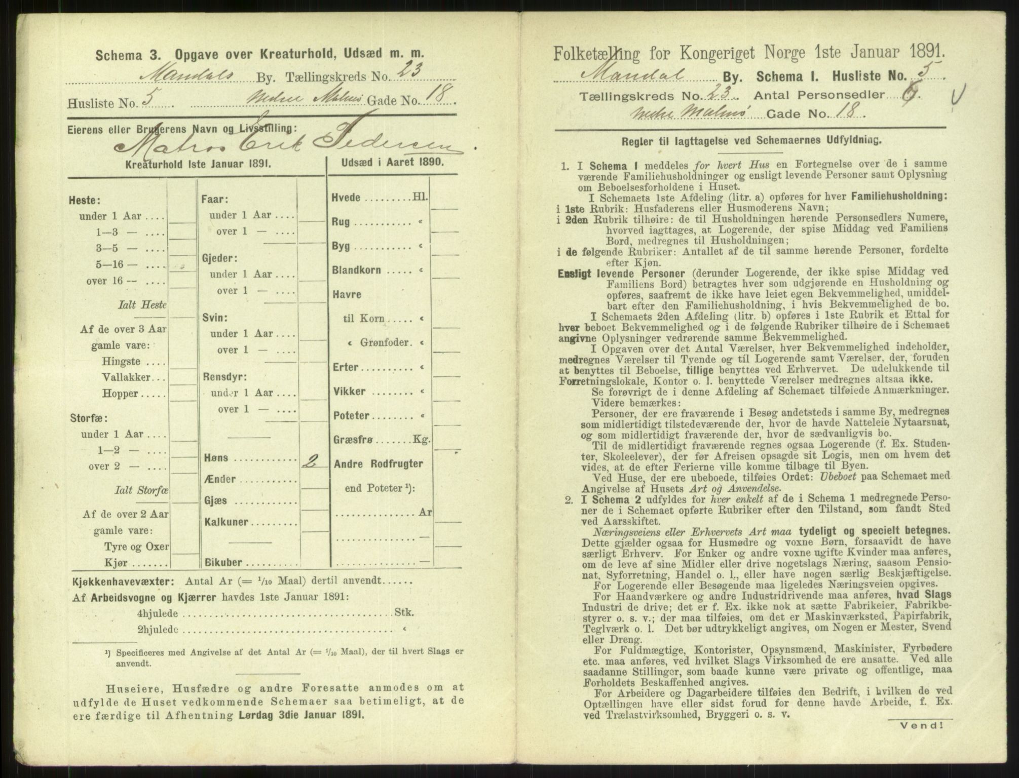 RA, Folketelling 1891 for 1002 Mandal ladested, 1891, s. 1025