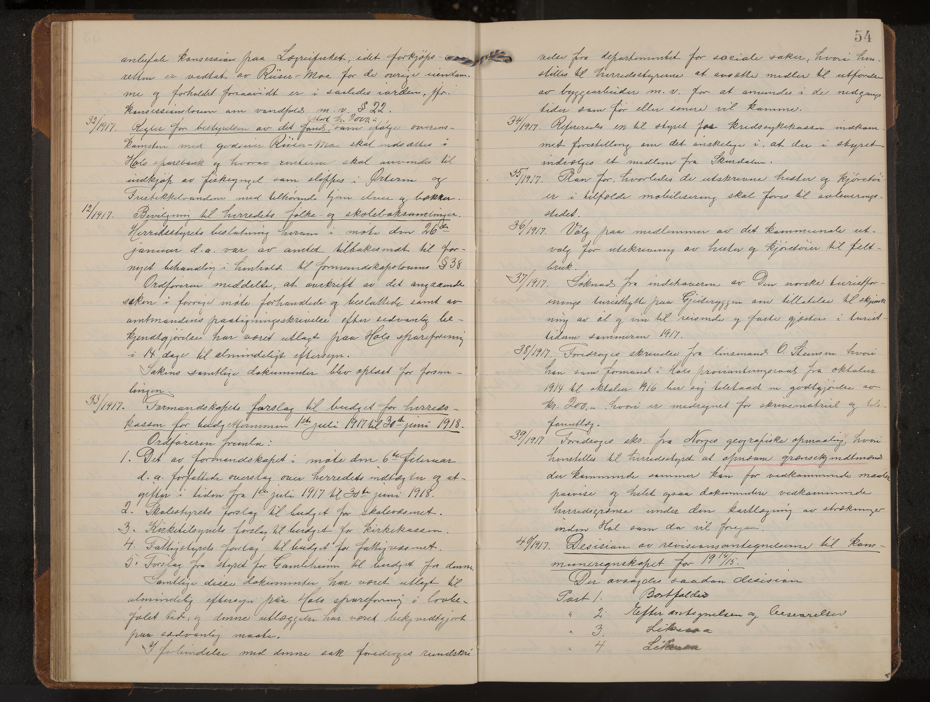 Hol formannskap og sentraladministrasjon, IKAK/0620021-1/A/L0006: Møtebok, 1916-1922, s. 54