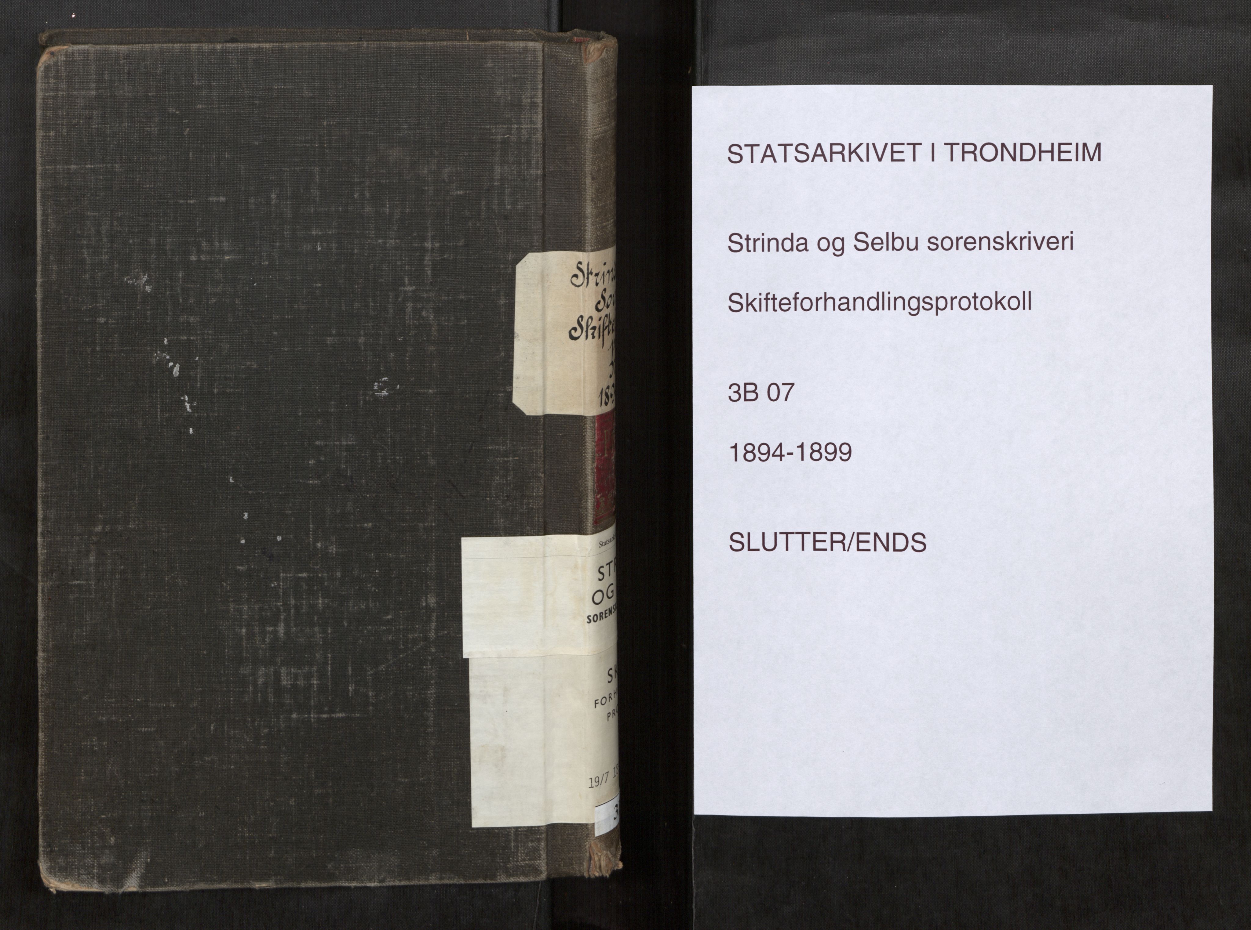 Strinda og Selbu sorenskriveri, SAT/A-0015/3/3B/L0007: Skifteforhandlingsprot. 7 7, 1894-1899