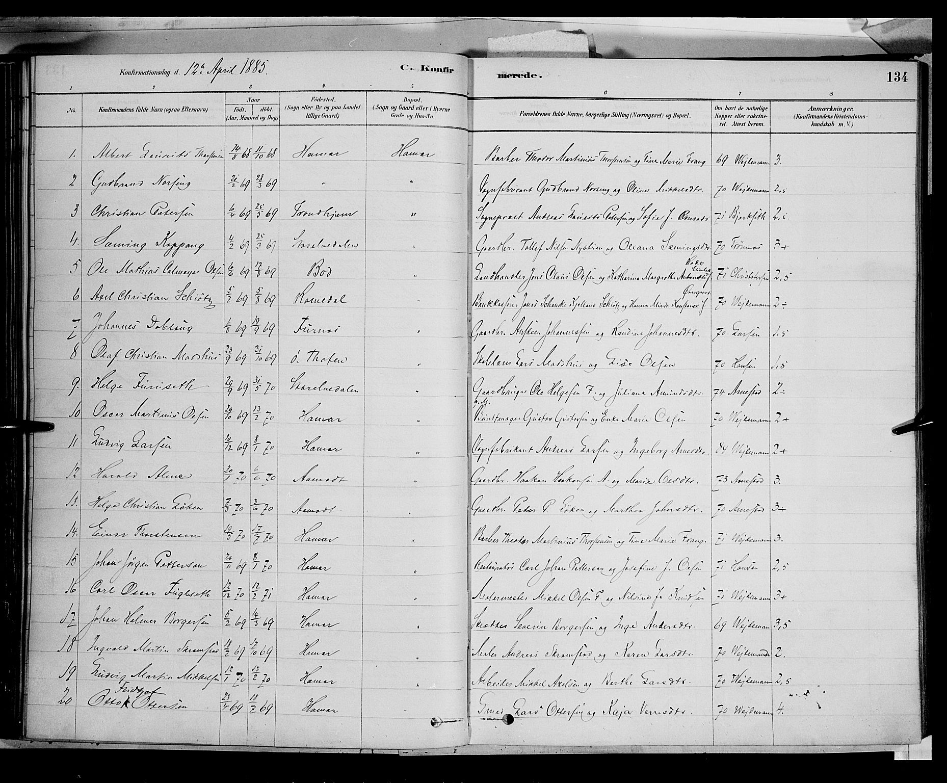 Vang prestekontor, Hedmark, AV/SAH-PREST-008/H/Ha/Haa/L0016: Ministerialbok nr. 16, 1878-1889, s. 134