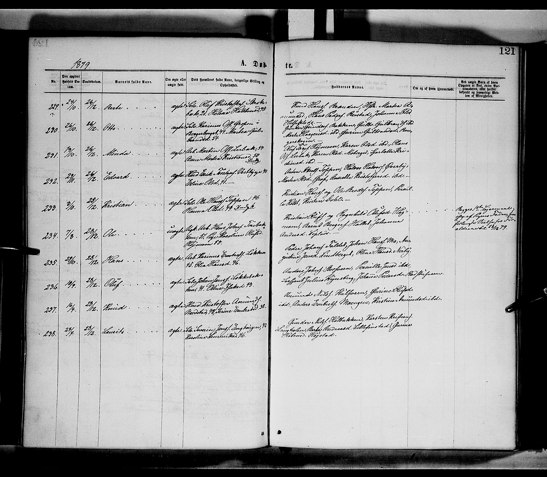 Elverum prestekontor, AV/SAH-PREST-044/H/Ha/Haa/L0011: Ministerialbok nr. 11, 1869-1879, s. 121