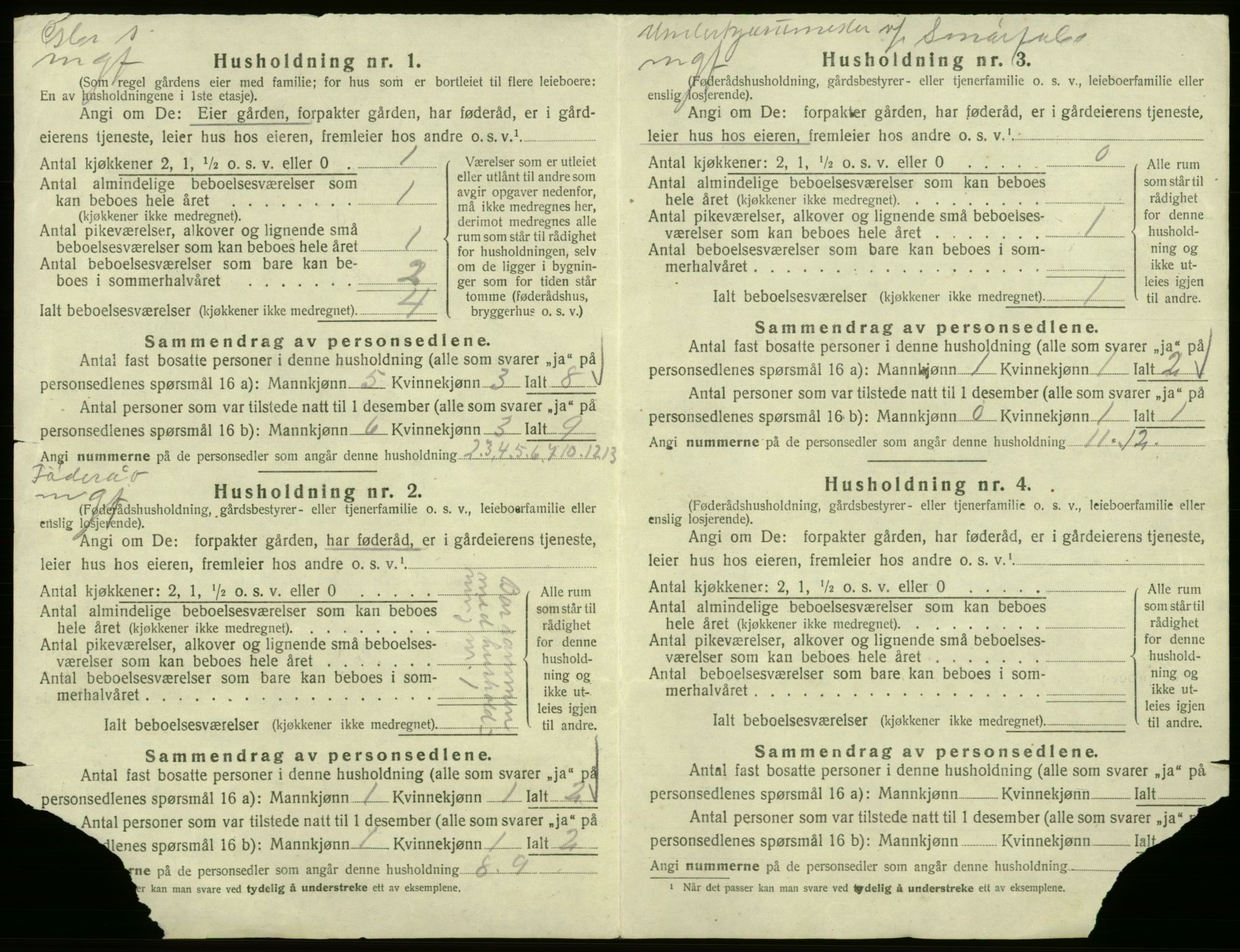 SAB, Folketelling 1920 for 1239 Hålandsdal herred, 1920, s. 26