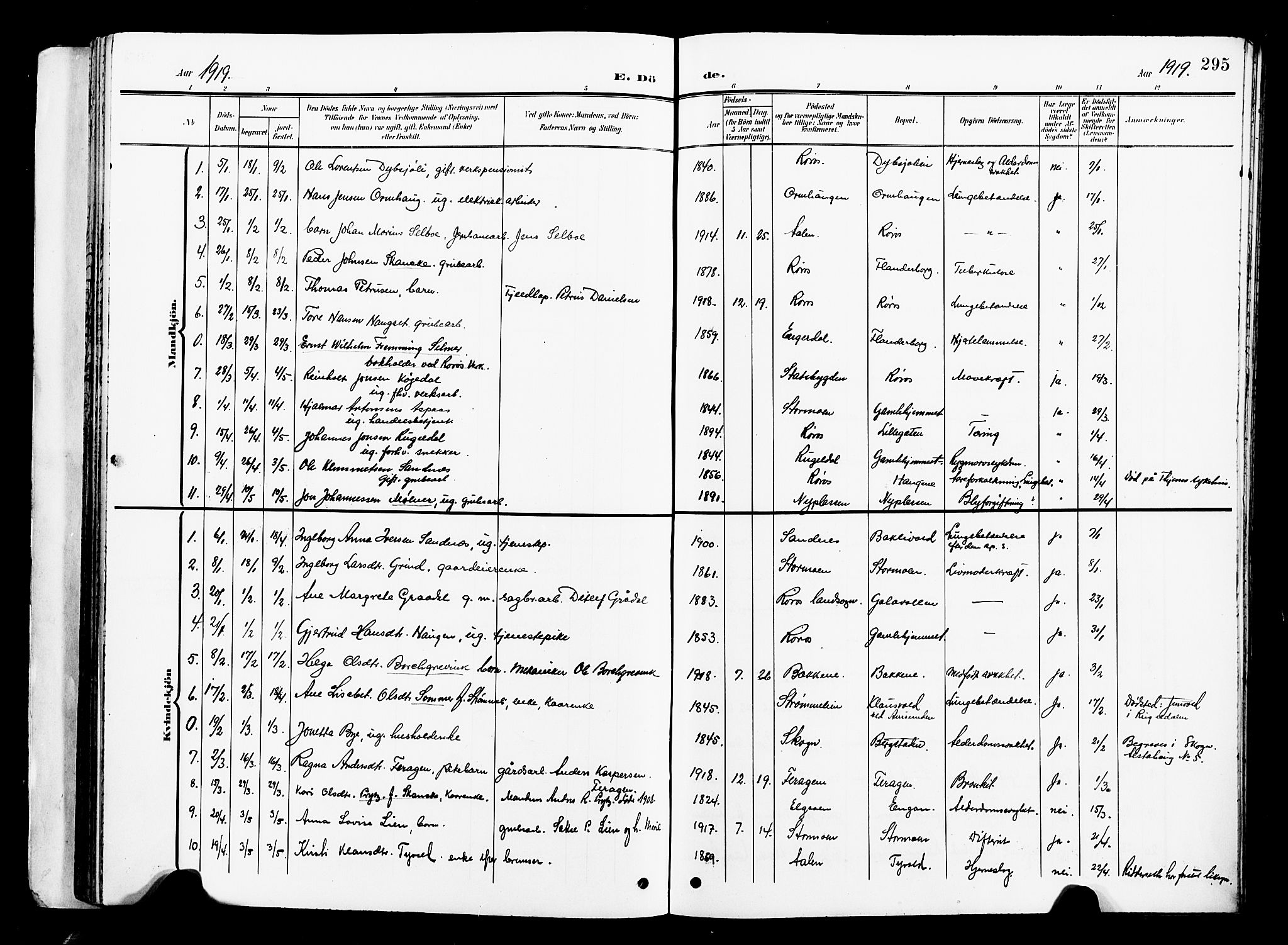 Ministerialprotokoller, klokkerbøker og fødselsregistre - Sør-Trøndelag, SAT/A-1456/681/L0942: Klokkerbok nr. 681C06, 1906-1925, s. 295