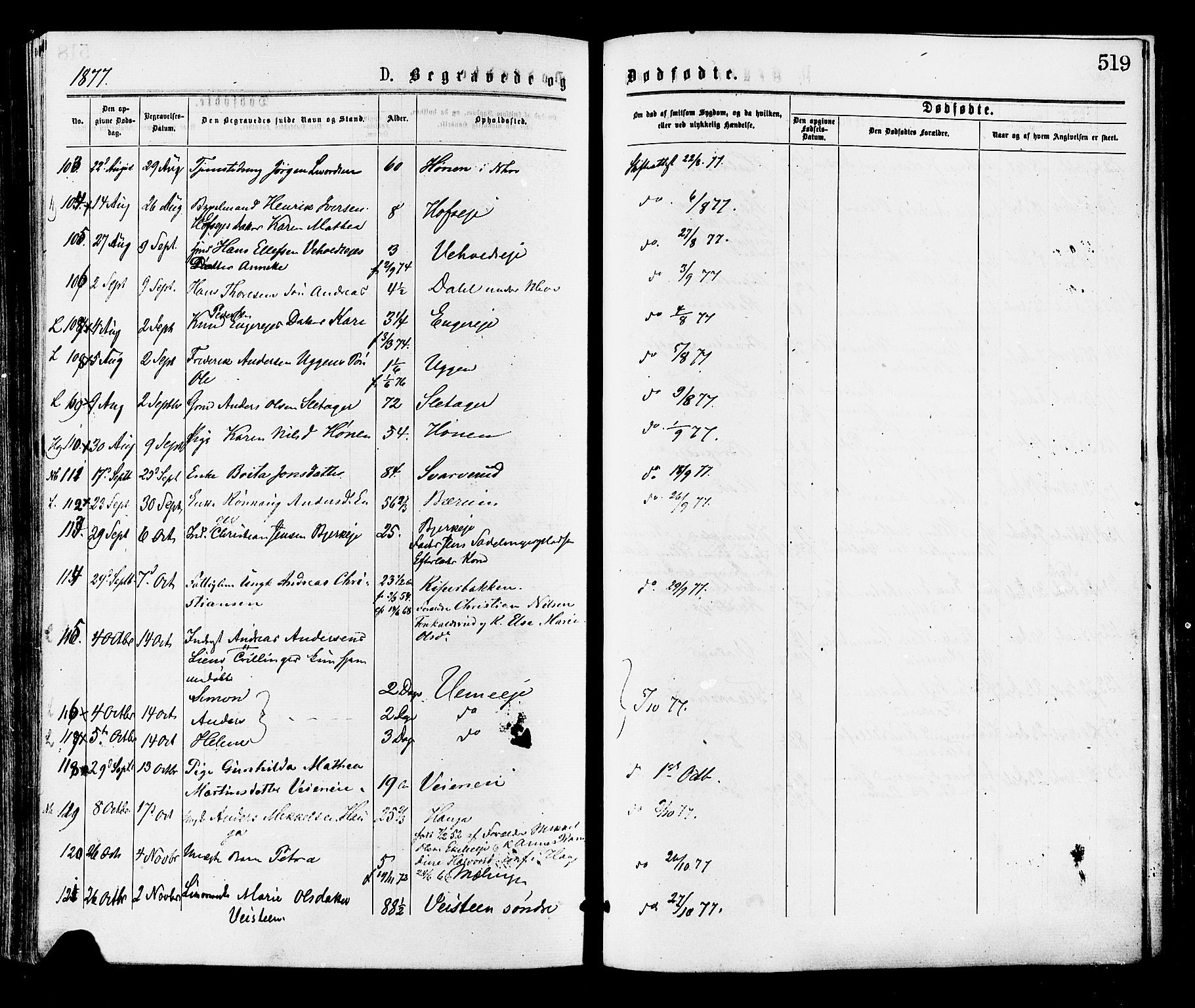 Norderhov kirkebøker, AV/SAKO-A-237/F/Fa/L0015: Ministerialbok nr. 15, 1875-1884, s. 519