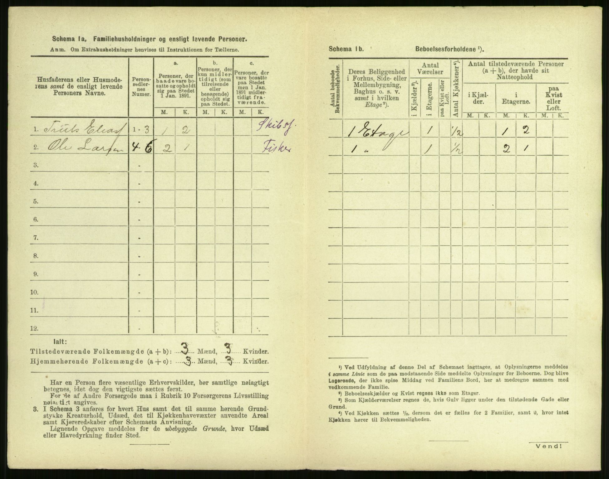 RA, Folketelling 1891 for 1104 Skudeneshavn ladested, 1891, s. 21