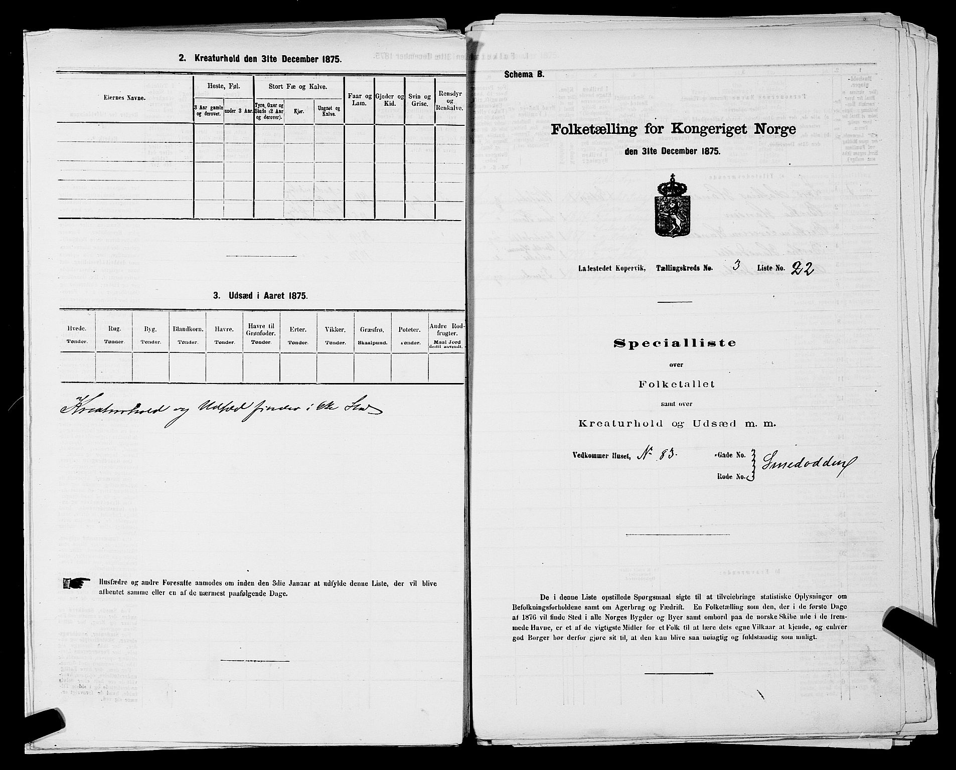 SAST, Folketelling 1875 for 1105B Avaldsnes prestegjeld, Kopervik ladested, 1875, s. 46