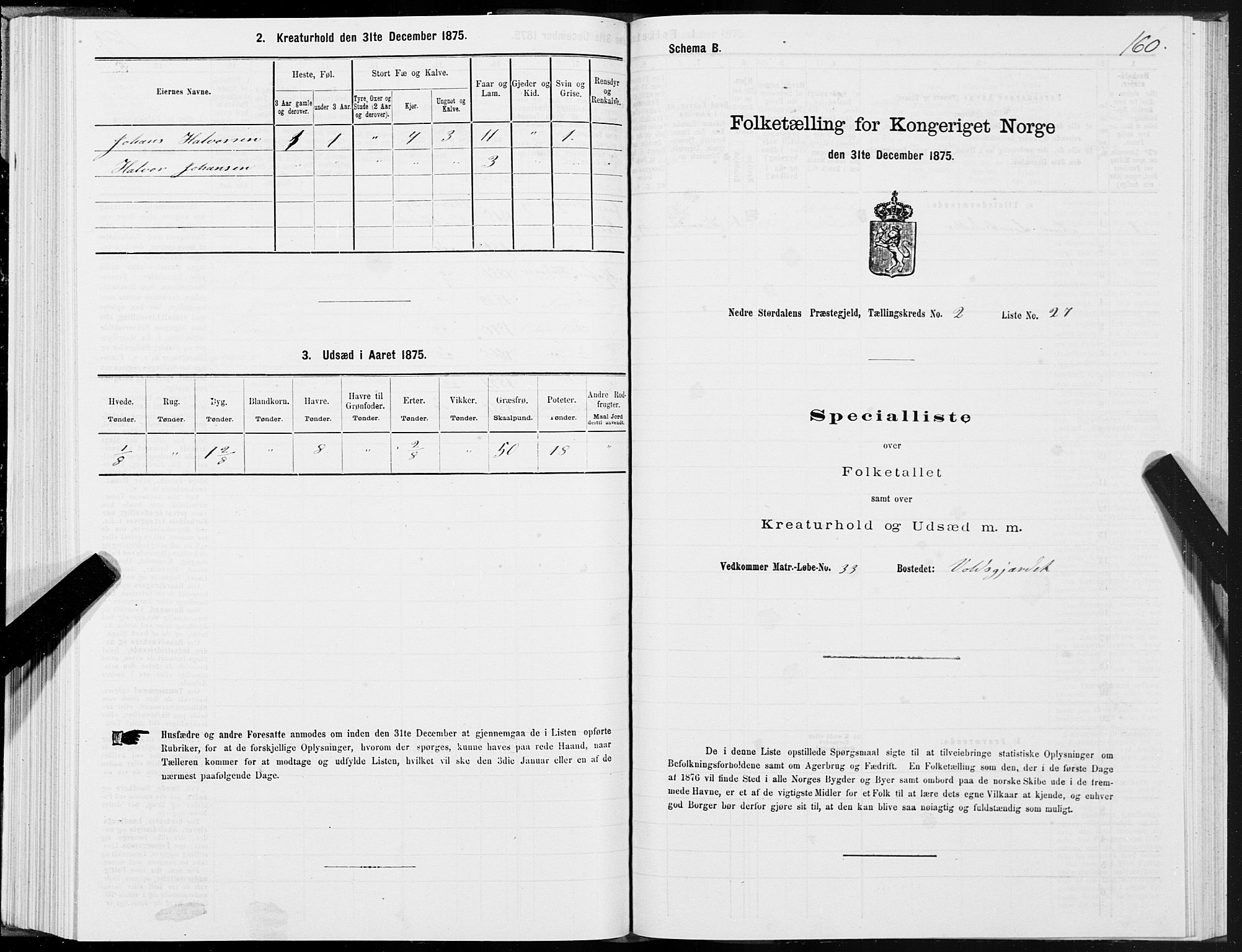 SAT, Folketelling 1875 for 1714P Nedre Stjørdal prestegjeld, 1875, s. 1160