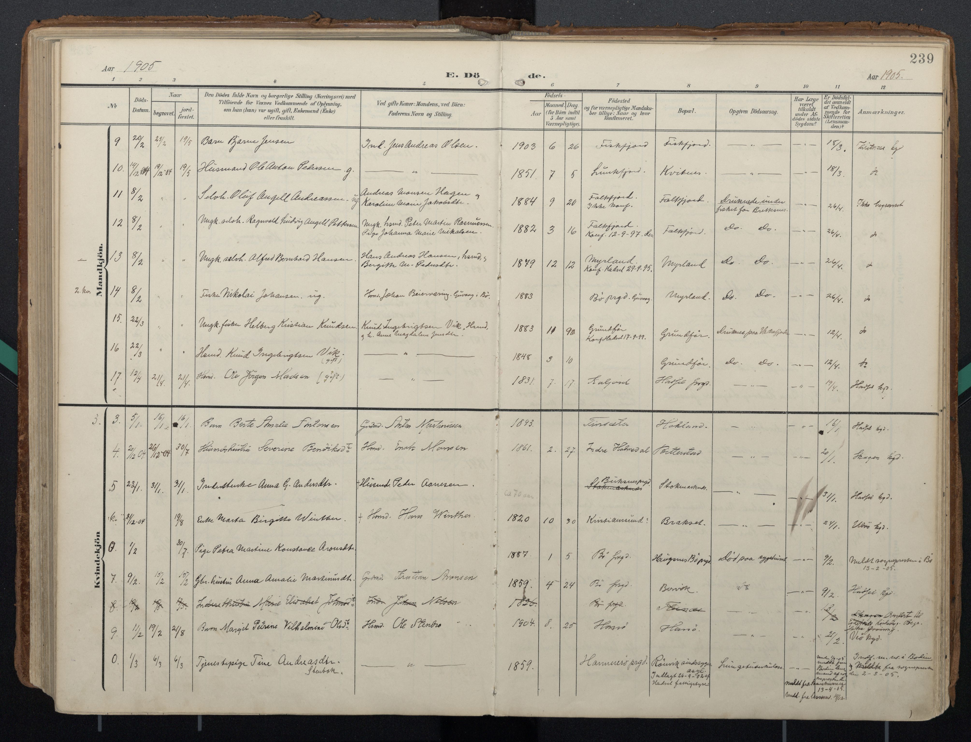 Ministerialprotokoller, klokkerbøker og fødselsregistre - Nordland, AV/SAT-A-1459/888/L1248: Ministerialbok nr. 888A14, 1904-1913, s. 239