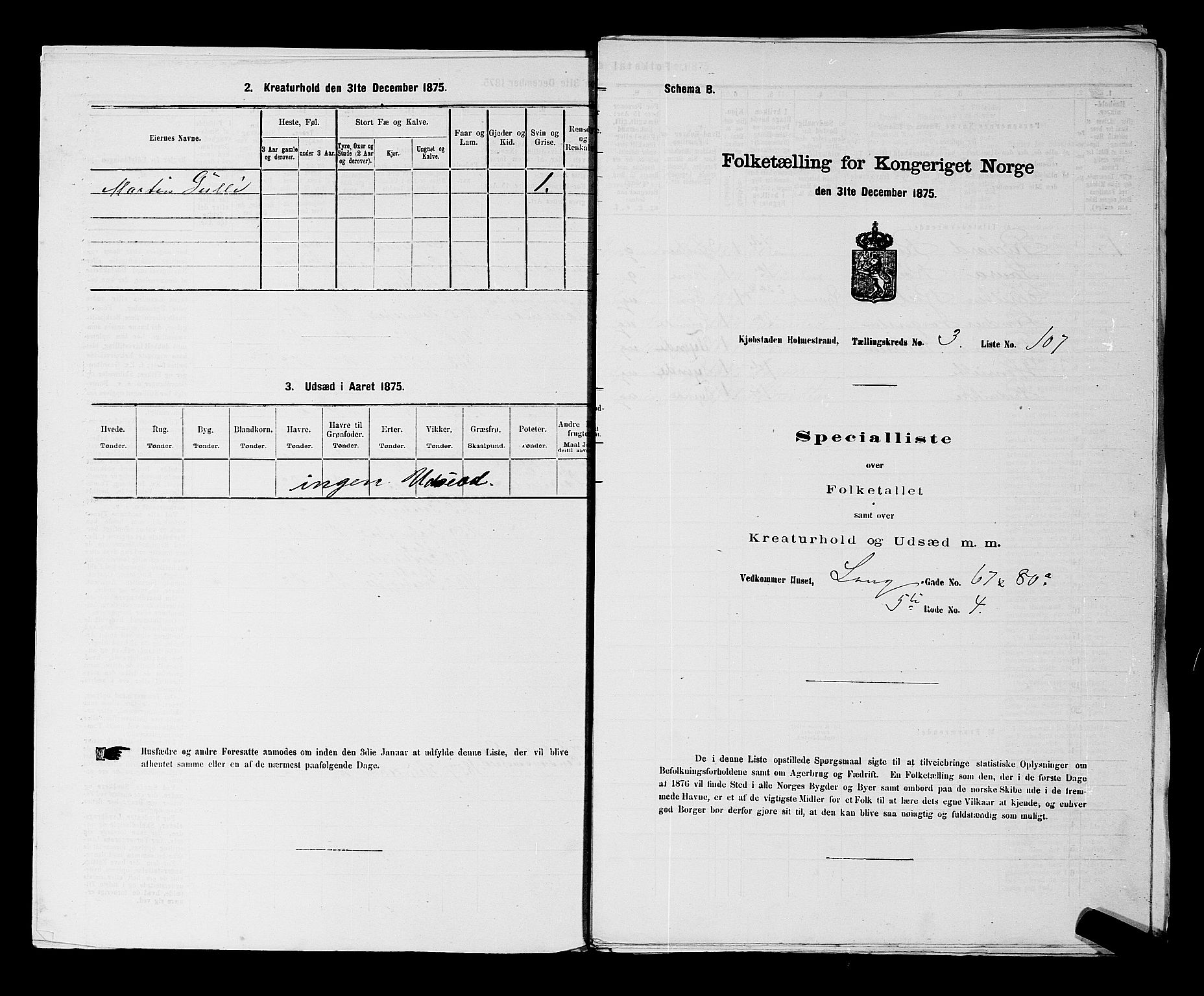 SAKO, Folketelling 1875 for 0702P Holmestrand prestegjeld, 1875, s. 249