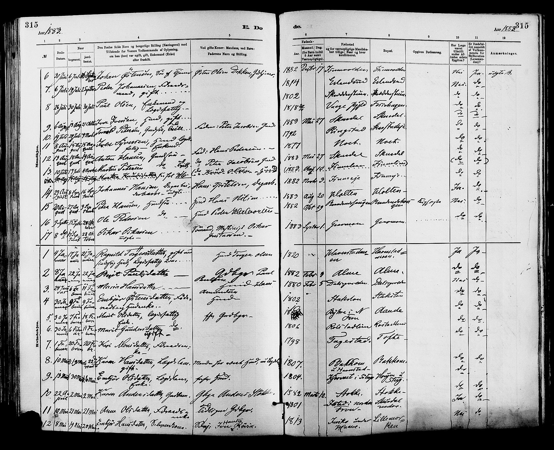 Sør-Fron prestekontor, AV/SAH-PREST-010/H/Ha/Haa/L0003: Ministerialbok nr. 3, 1881-1897, s. 315