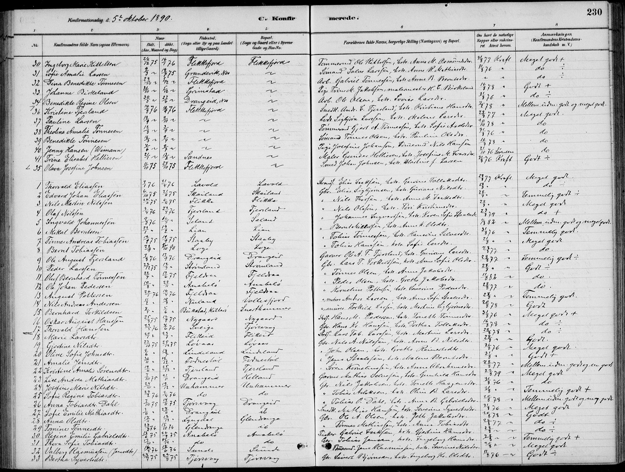 Flekkefjord sokneprestkontor, AV/SAK-1111-0012/F/Fb/Fbc/L0007: Klokkerbok nr. B 7, 1880-1902, s. 230