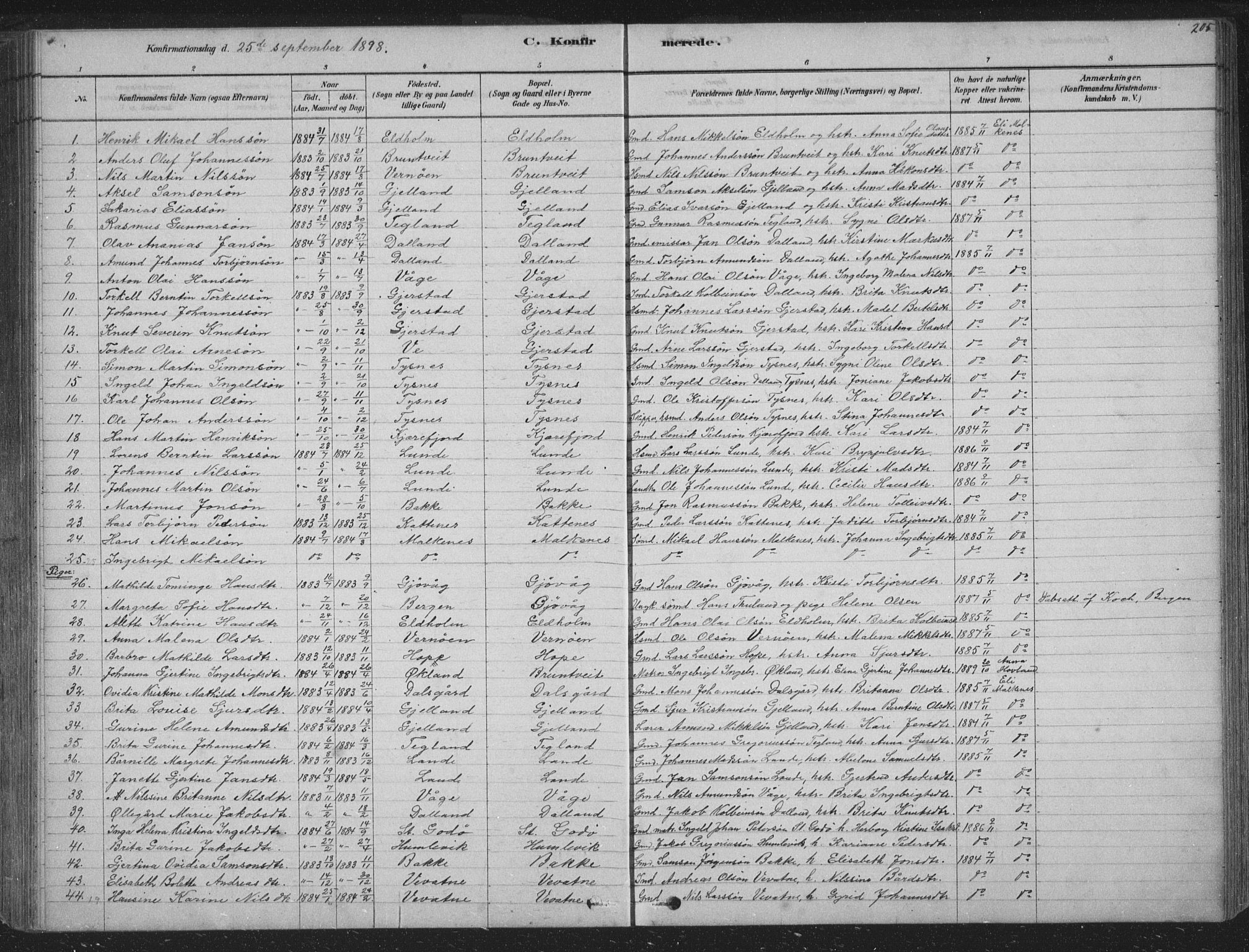 Tysnes sokneprestembete, AV/SAB-A-78601/H/Hab: Klokkerbok nr. B 2, 1878-1918, s. 205