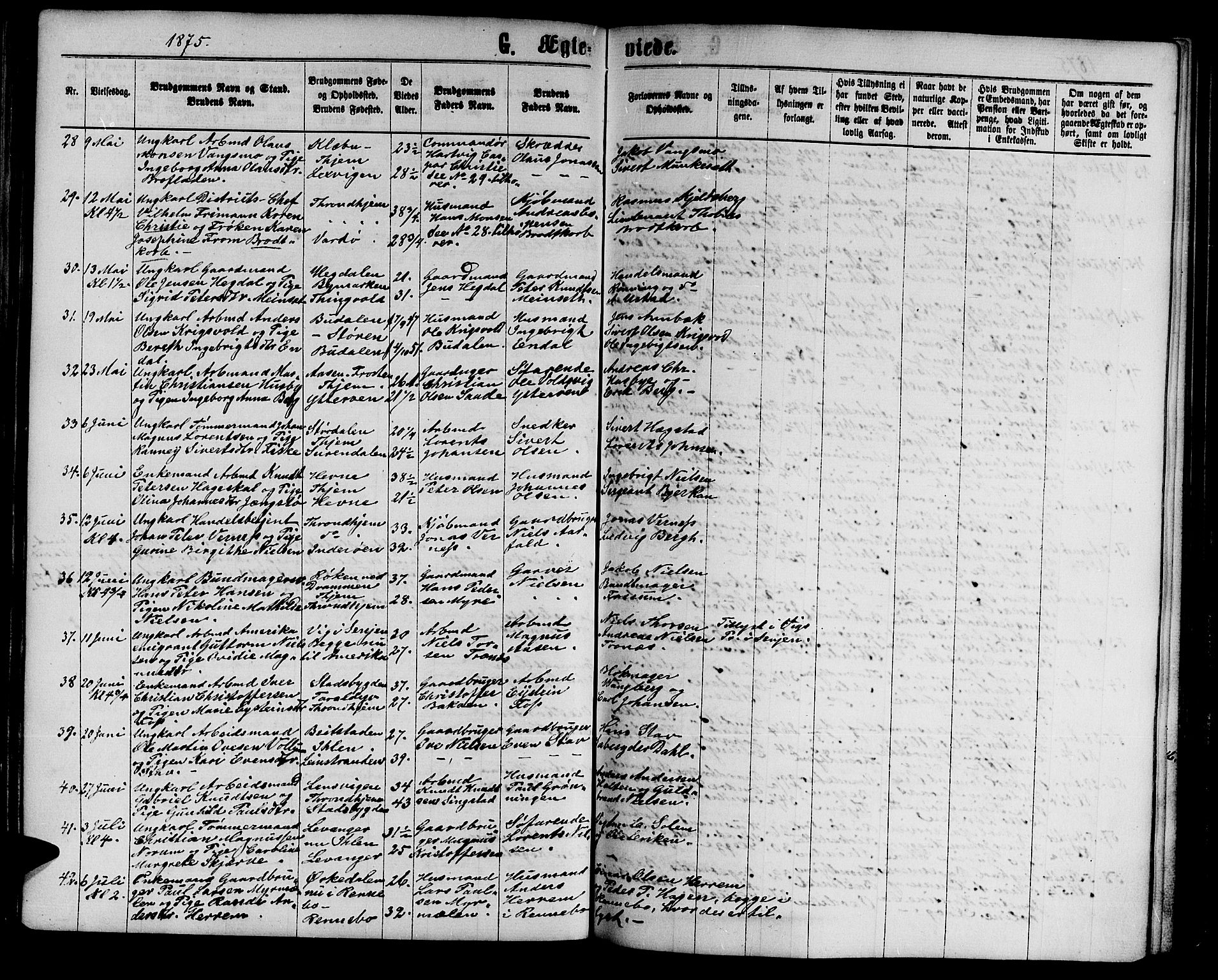 Ministerialprotokoller, klokkerbøker og fødselsregistre - Sør-Trøndelag, AV/SAT-A-1456/602/L0141: Klokkerbok nr. 602C09, 1865-1877