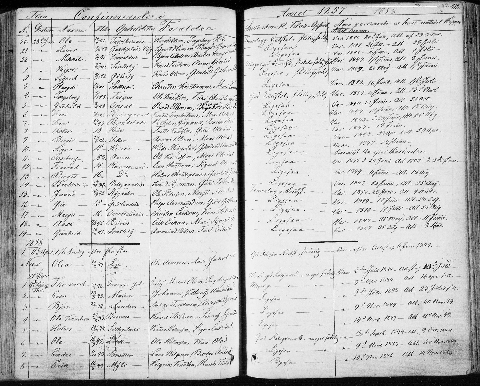 Nes kirkebøker, AV/SAKO-A-236/F/Fa/L0009: Ministerialbok nr. 9, 1834-1863, s. 412