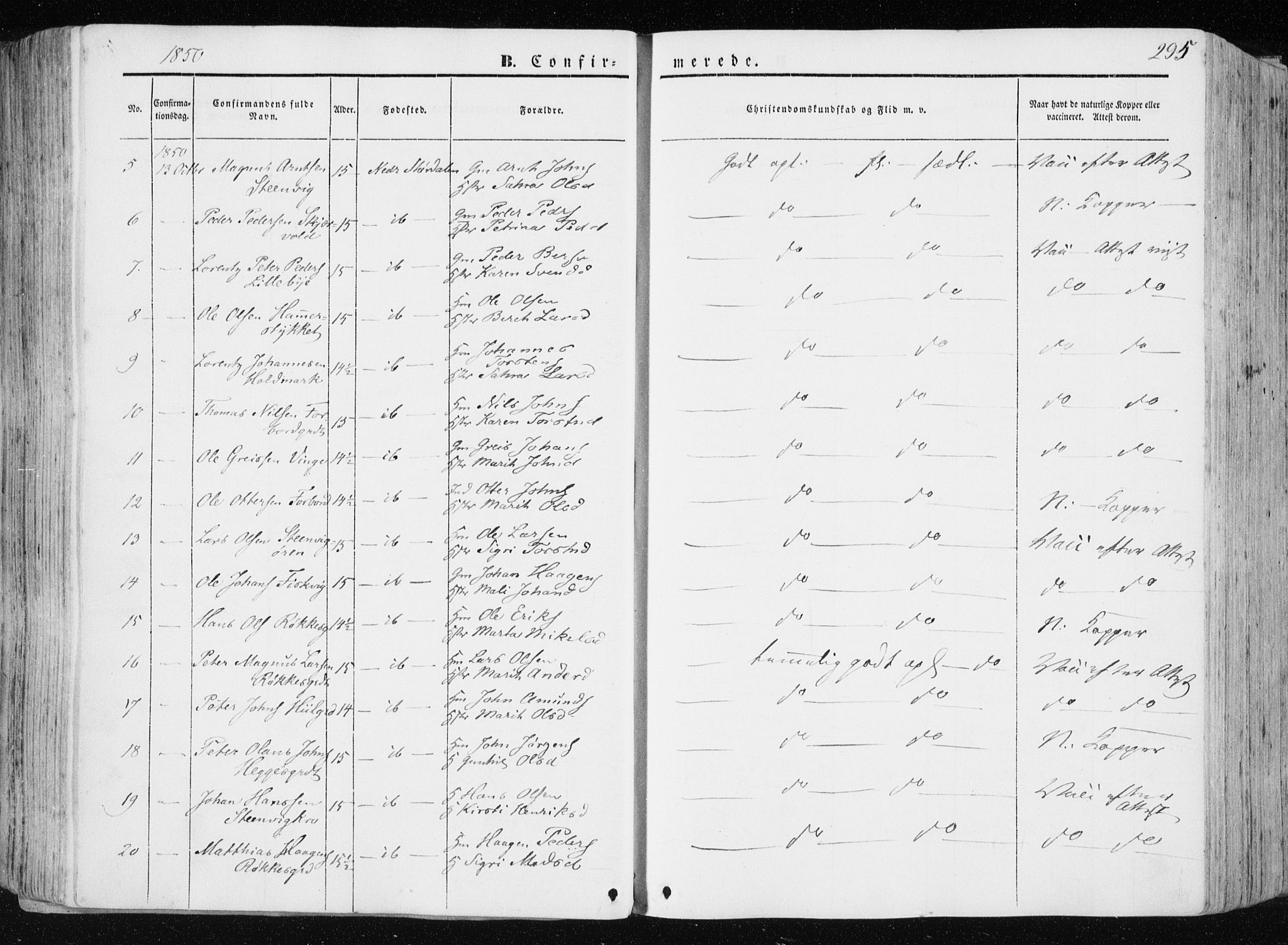 Ministerialprotokoller, klokkerbøker og fødselsregistre - Nord-Trøndelag, AV/SAT-A-1458/709/L0074: Ministerialbok nr. 709A14, 1845-1858, s. 295