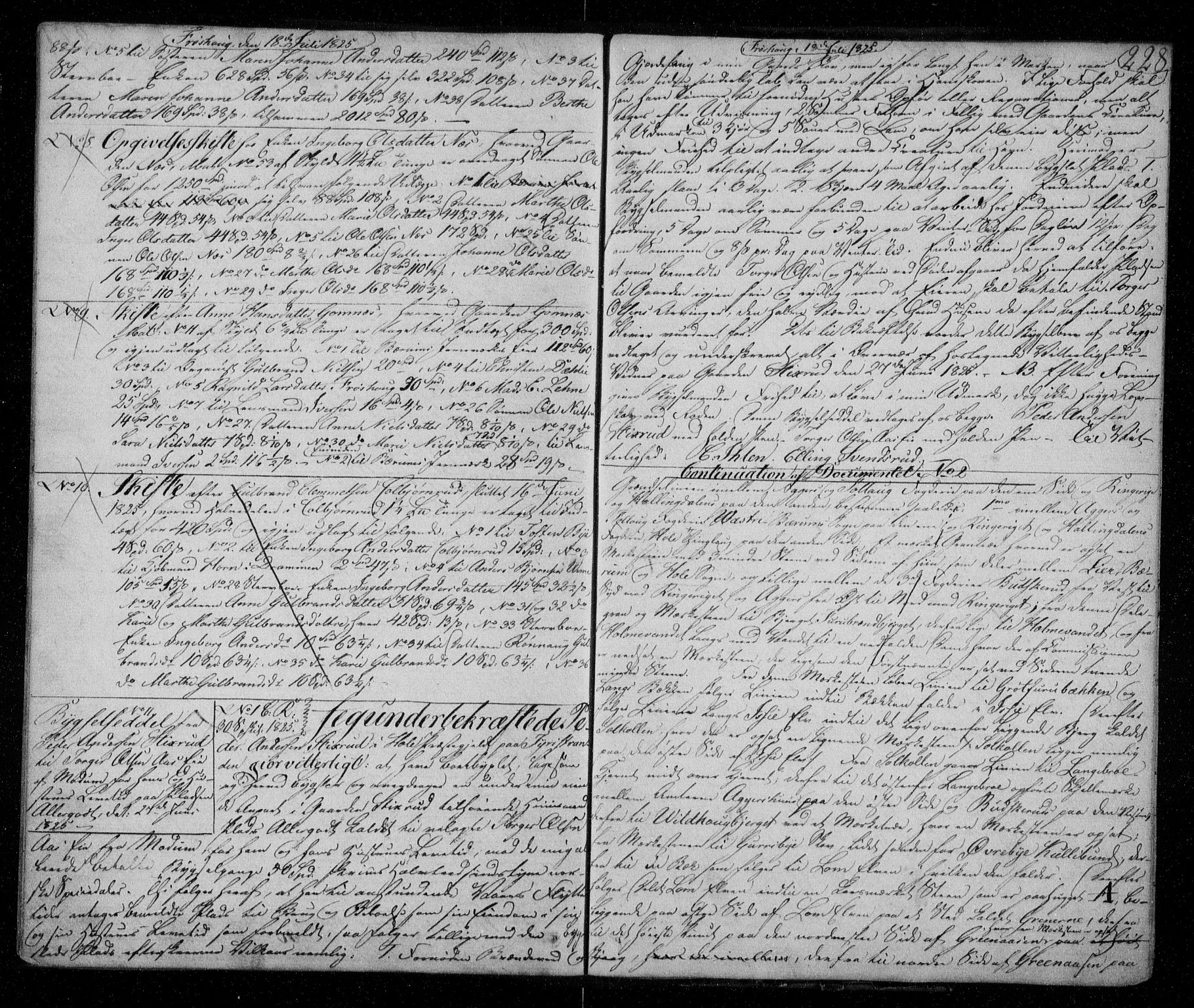 Ringerike sorenskriveri, SAKO/A-105/G/Ga/Gaa/L0019: Pantebok nr. 19, 1821-1825, s. 228