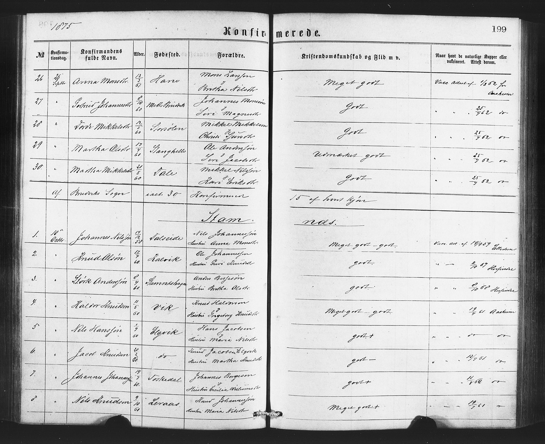 Bruvik Sokneprestembete, AV/SAB-A-74701/H/Haa: Ministerialbok nr. A 1, 1869-1877, s. 199