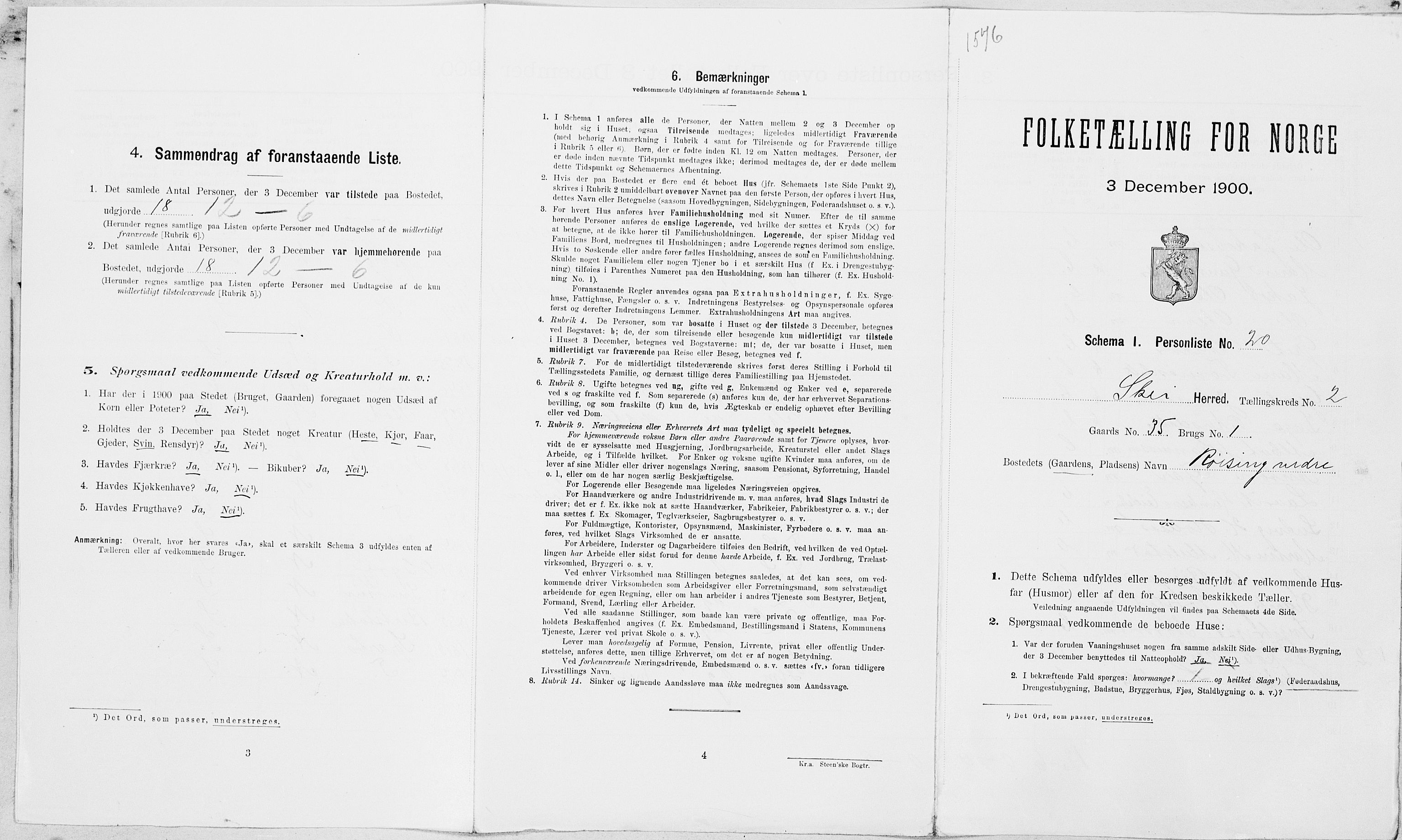 SAT, Folketelling 1900 for 1732 Skei herred, 1900, s. 216