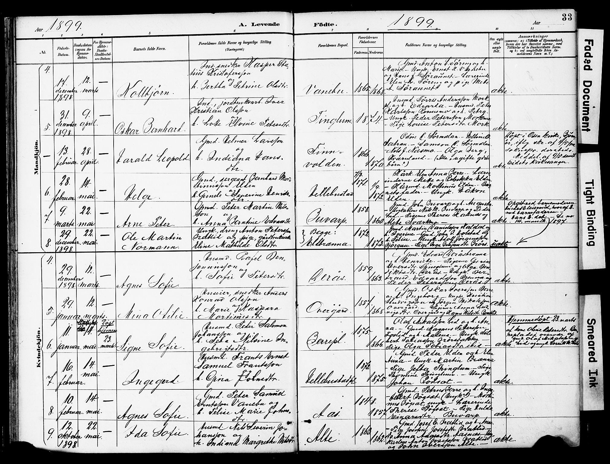 Ministerialprotokoller, klokkerbøker og fødselsregistre - Nord-Trøndelag, AV/SAT-A-1458/742/L0409: Ministerialbok nr. 742A02, 1891-1905, s. 33