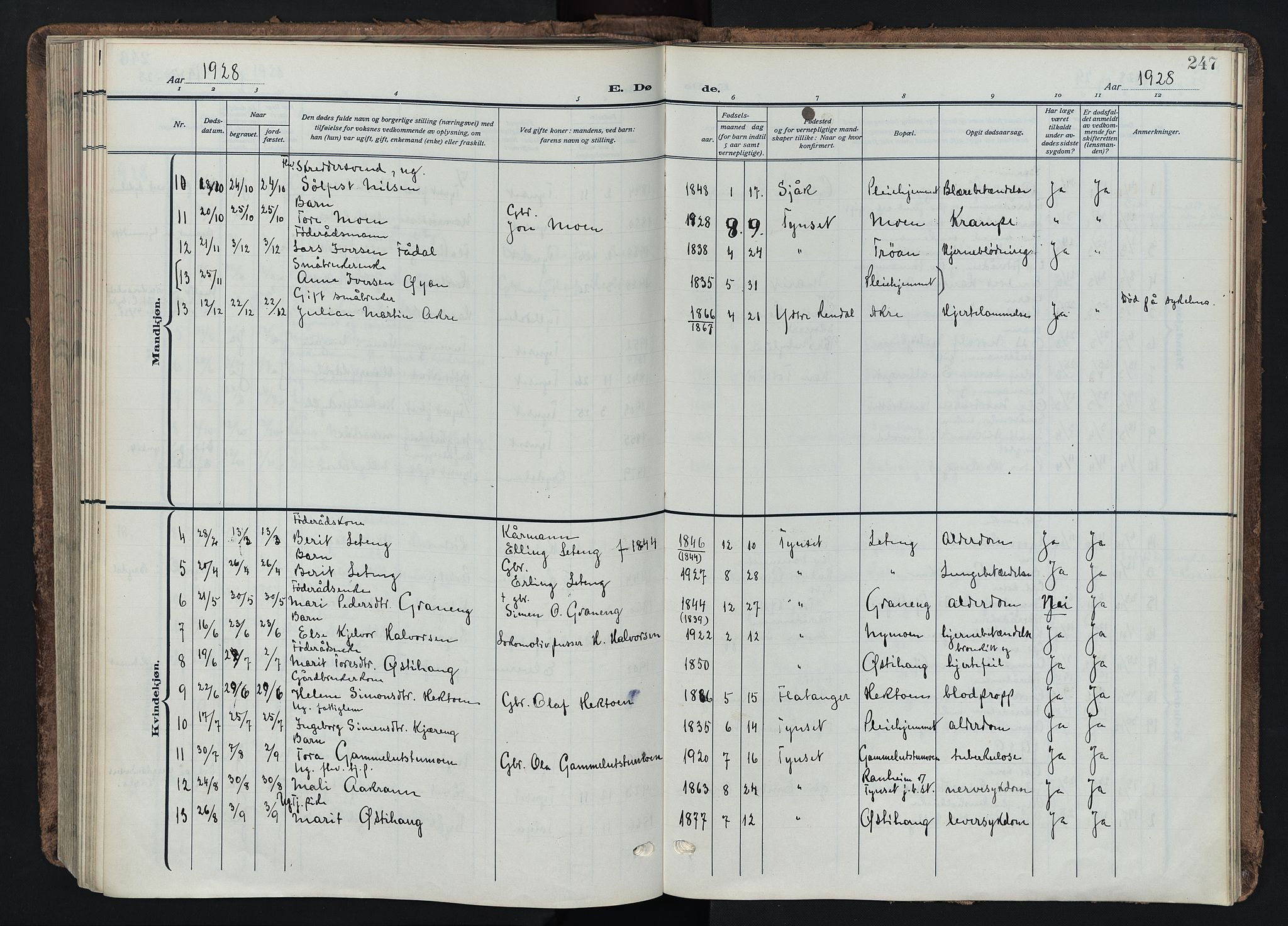 Tynset prestekontor, SAH/PREST-058/H/Ha/Haa/L0026: Ministerialbok nr. 26, 1915-1929, s. 247