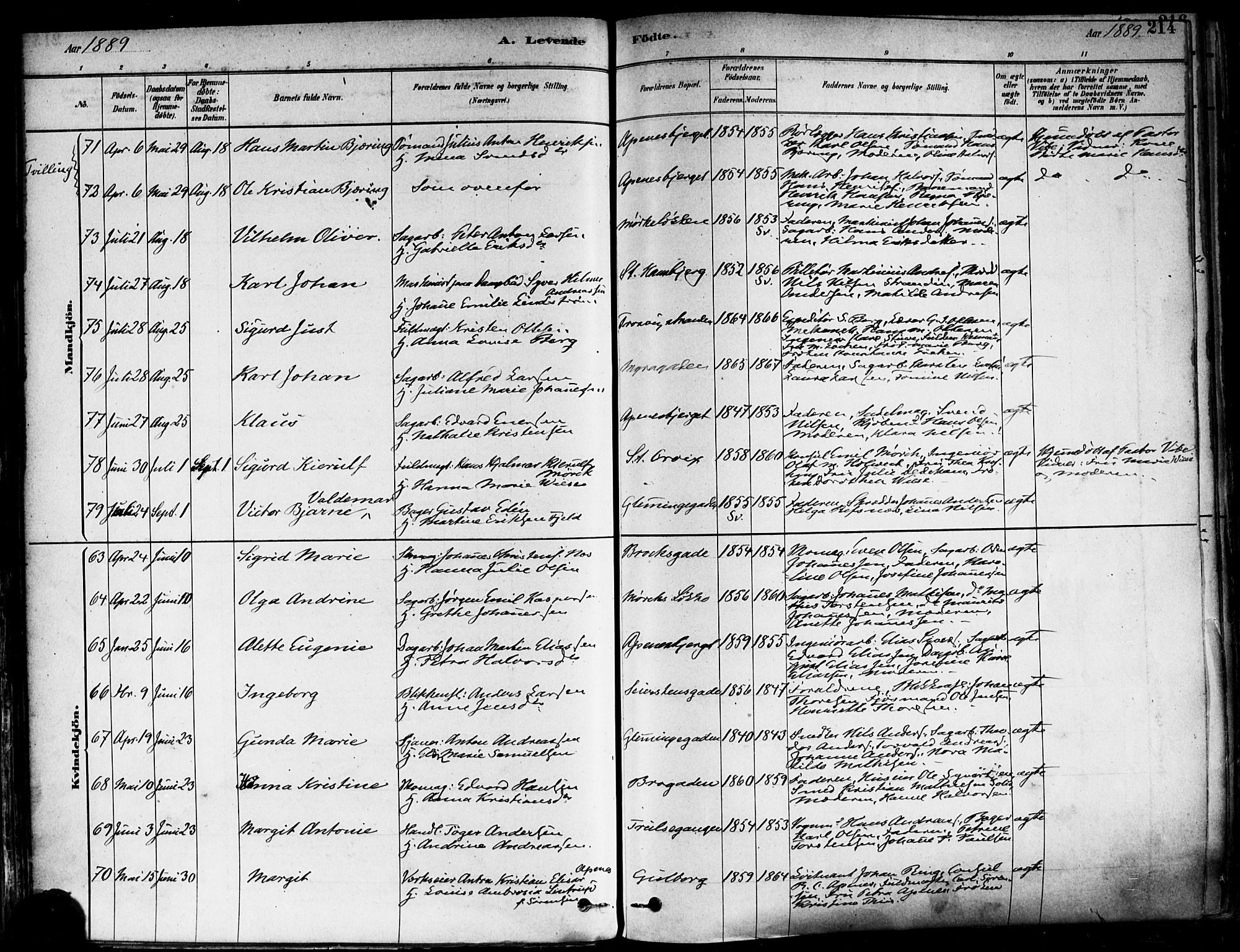 Fredrikstad domkirkes prestekontor Kirkebøker, AV/SAO-A-10906/F/Fa/L0002: Ministerialbok nr. 2, 1878-1894, s. 214