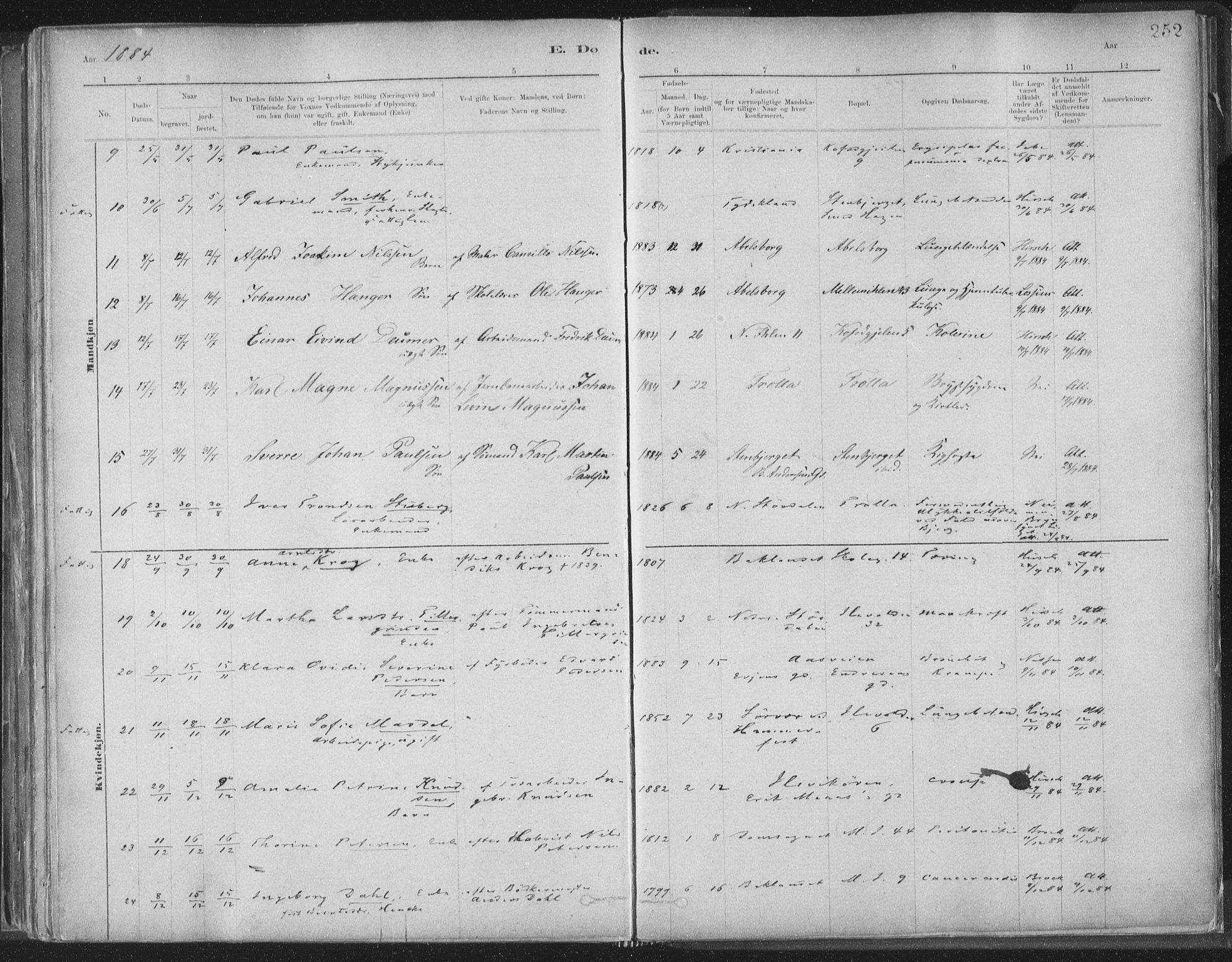 Ministerialprotokoller, klokkerbøker og fødselsregistre - Sør-Trøndelag, AV/SAT-A-1456/603/L0162: Ministerialbok nr. 603A01, 1879-1895, s. 252