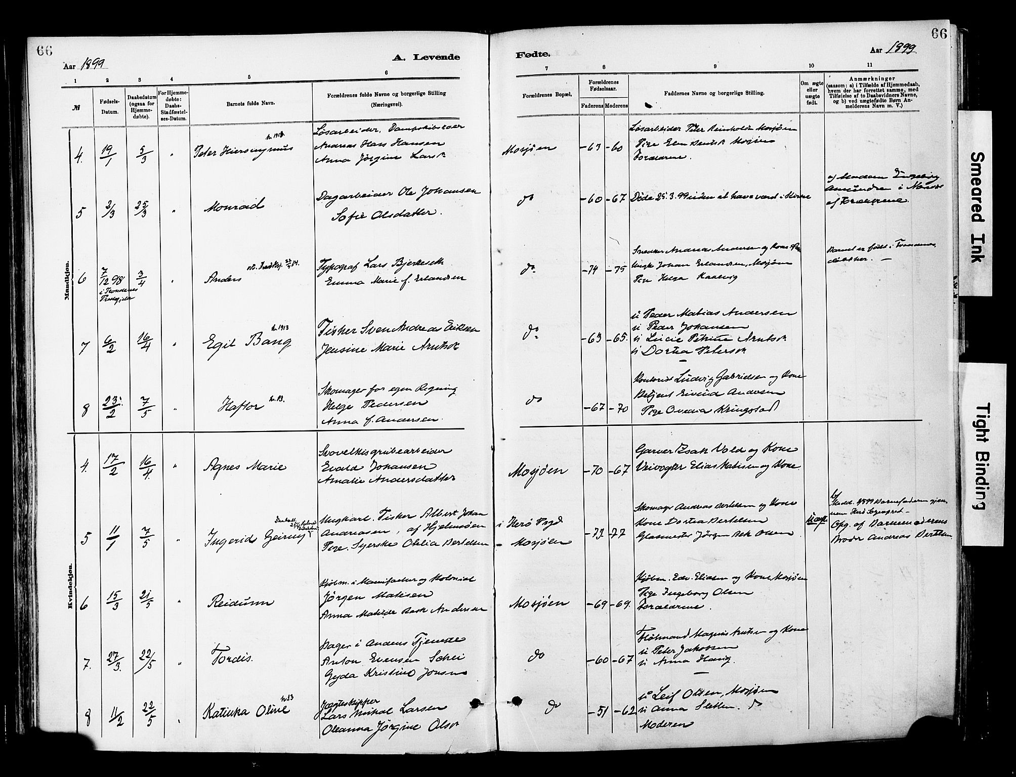Ministerialprotokoller, klokkerbøker og fødselsregistre - Nordland, SAT/A-1459/820/L0296: Ministerialbok nr. 820A17, 1880-1903, s. 66
