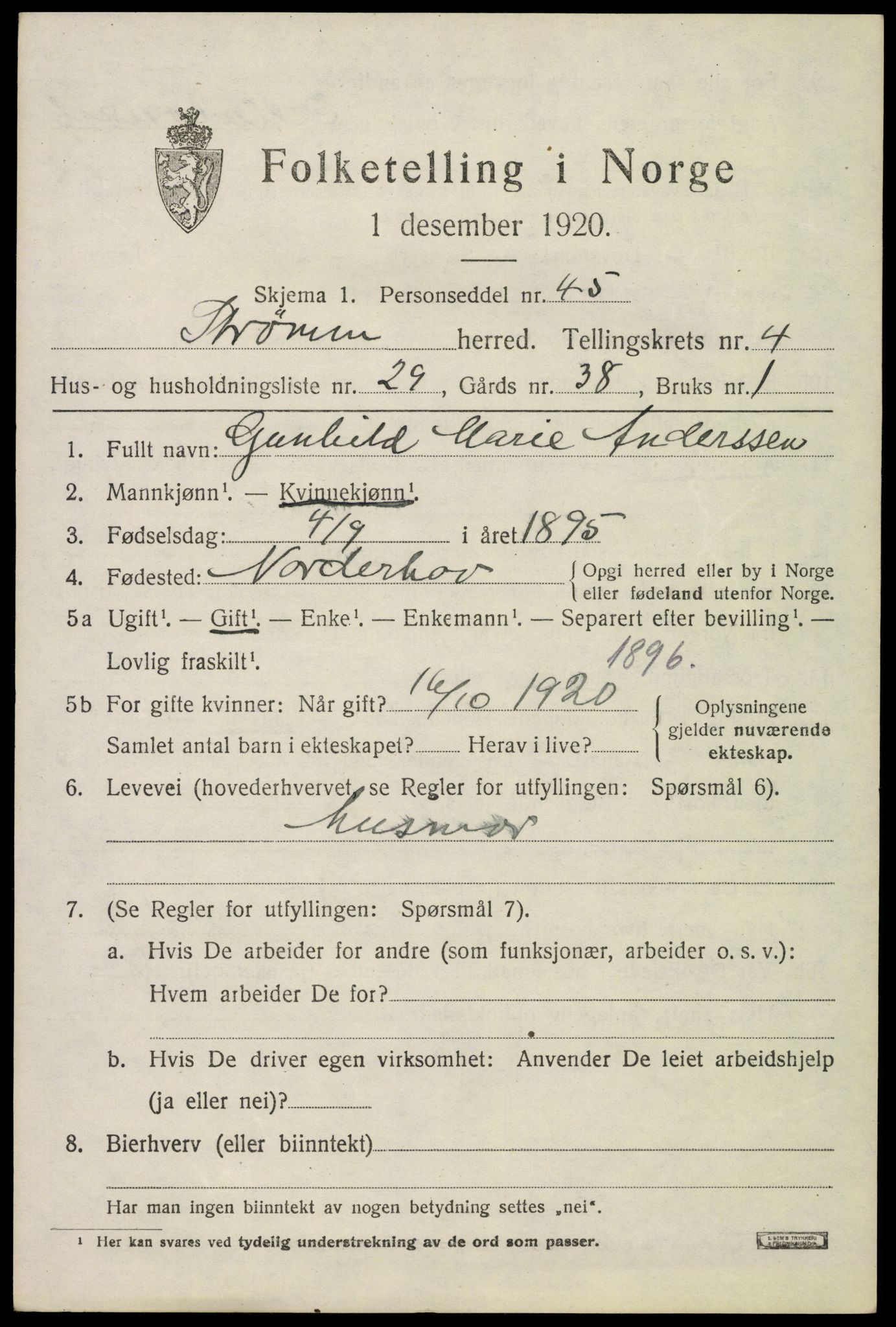 SAKO, Folketelling 1920 for 0711 Strømm herred, 1920, s. 3515