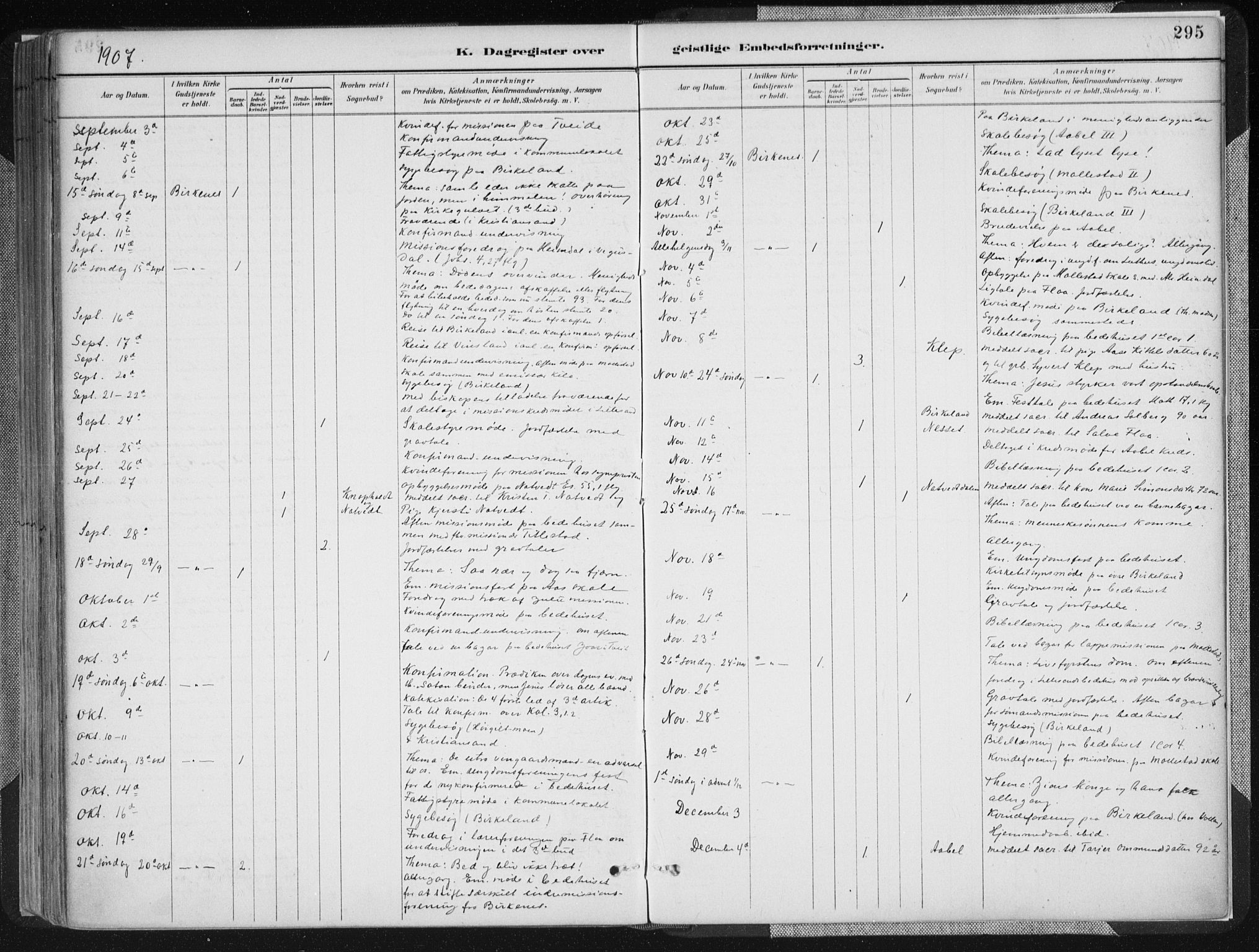 Birkenes sokneprestkontor, AV/SAK-1111-0004/F/Fa/L0005: Ministerialbok nr. A 5, 1887-1907, s. 295