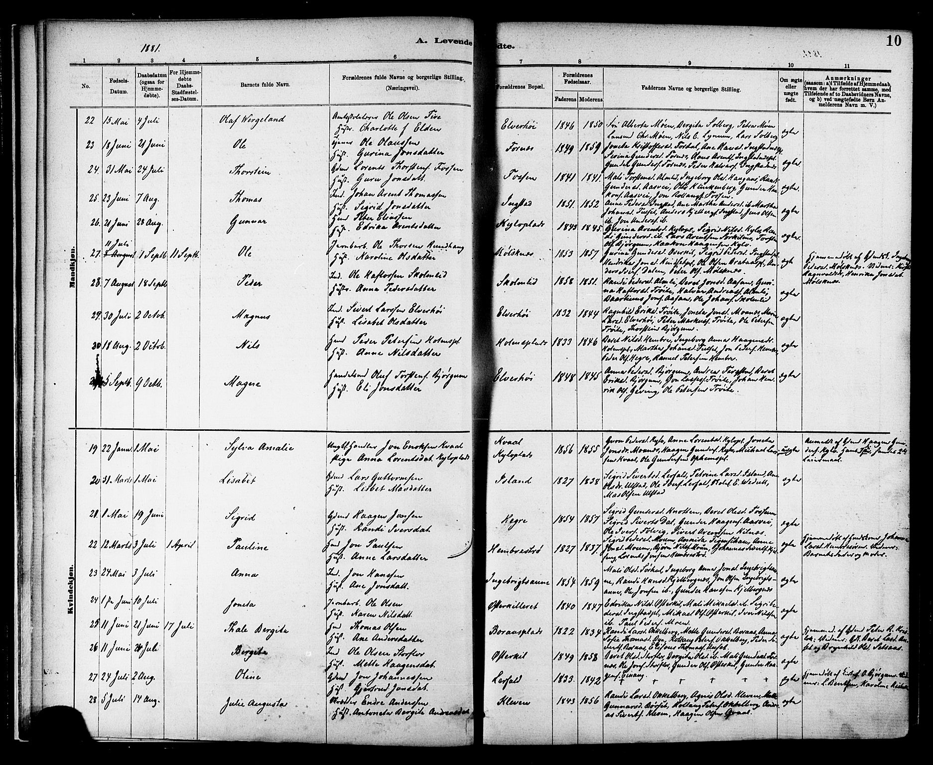 Ministerialprotokoller, klokkerbøker og fødselsregistre - Nord-Trøndelag, SAT/A-1458/703/L0030: Ministerialbok nr. 703A03, 1880-1892, s. 10