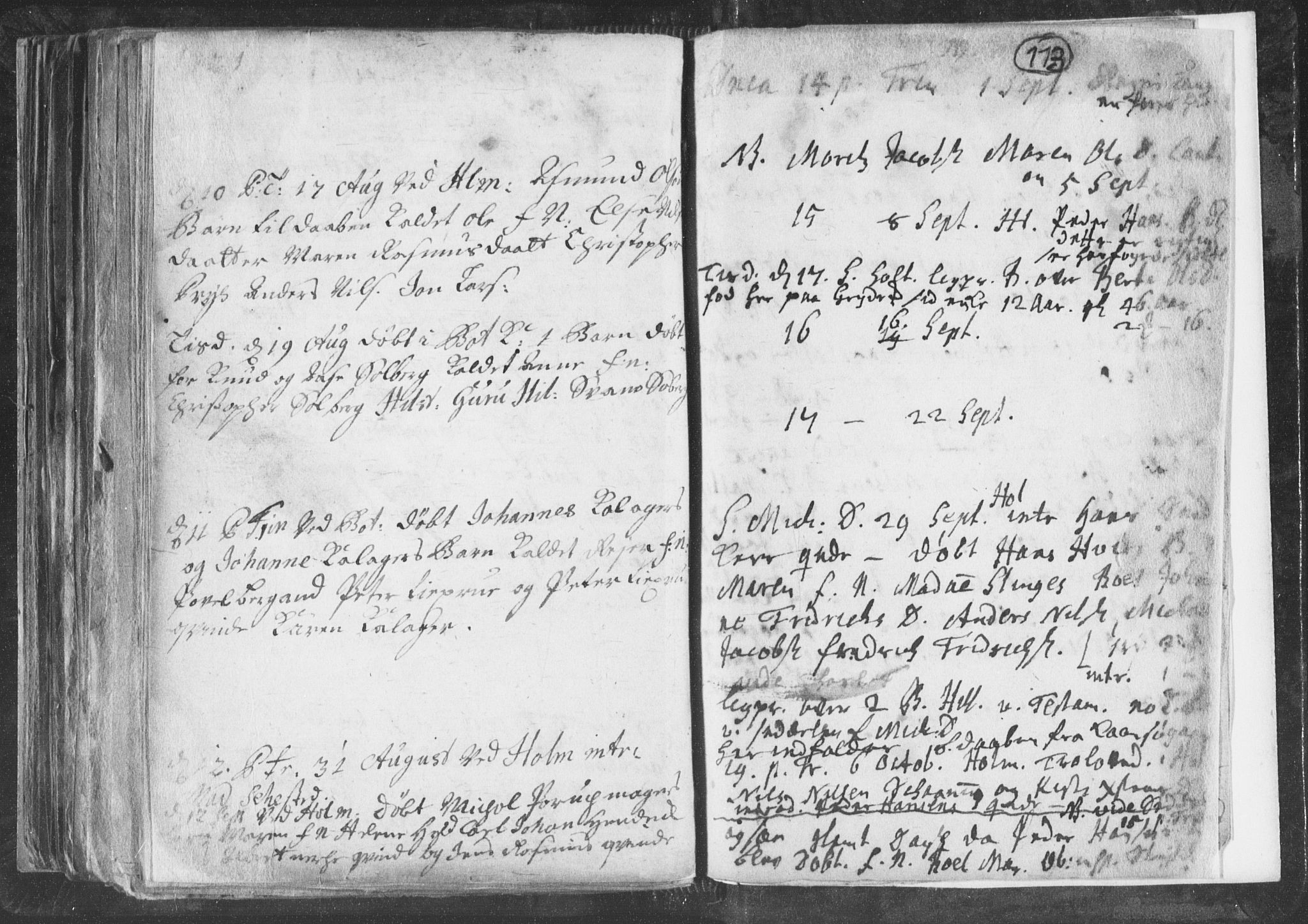 Botne kirkebøker, AV/SAKO-A-340/F/Fa/L0001b: Ministerialbok nr. I 1B, 1707-1722, s. 113