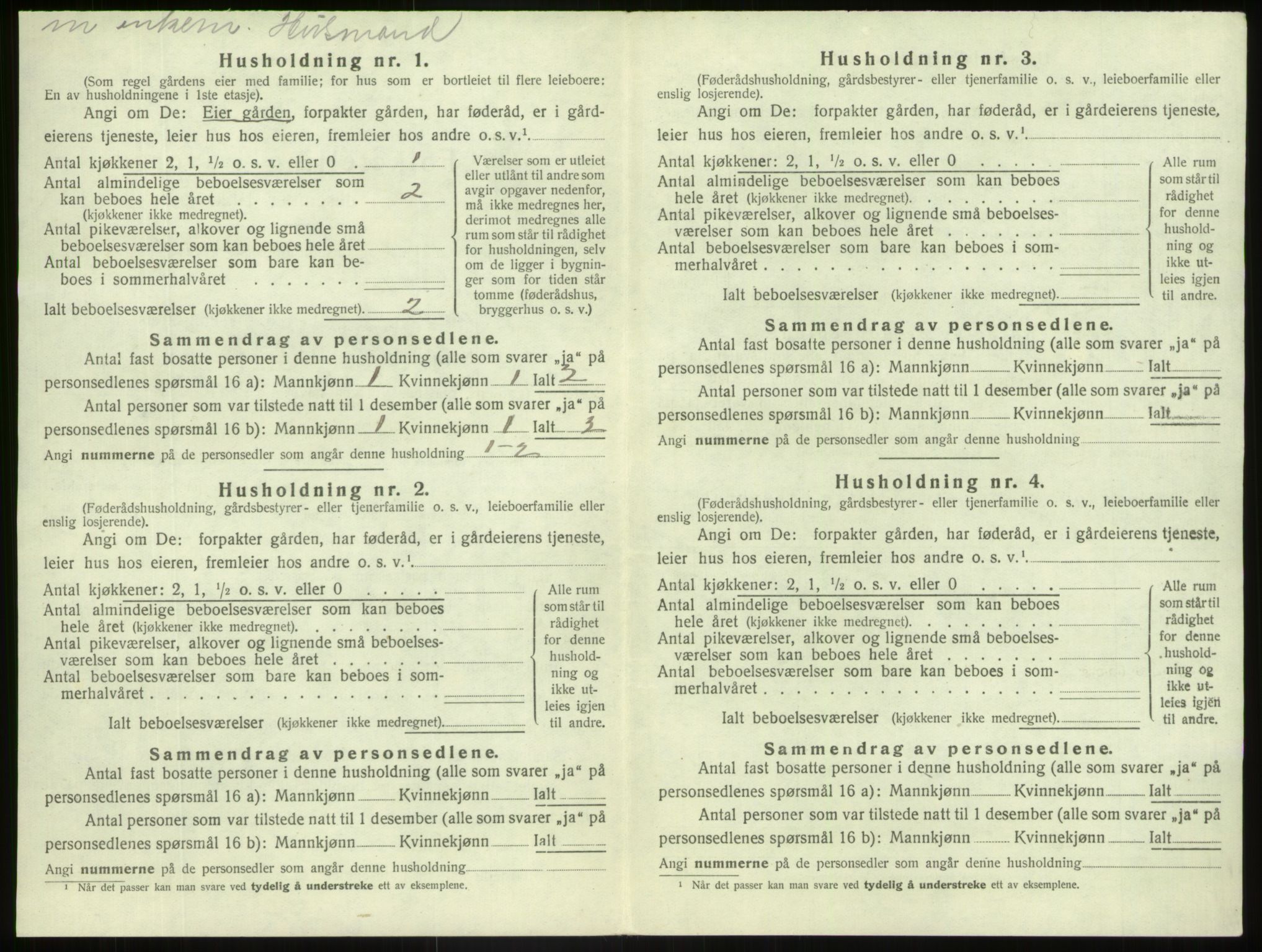 SAB, Folketelling 1920 for 1426 Luster herred, 1920, s. 244