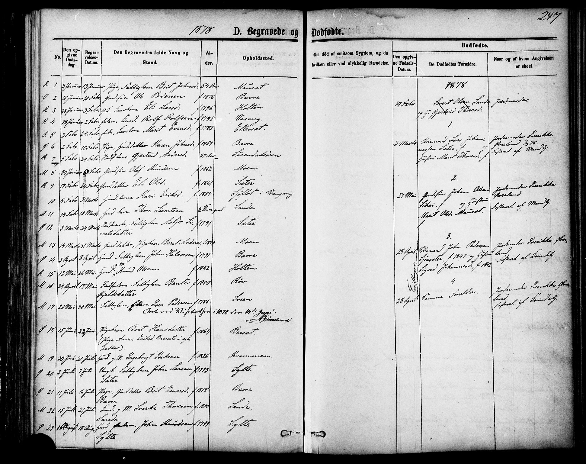 Ministerialprotokoller, klokkerbøker og fødselsregistre - Møre og Romsdal, AV/SAT-A-1454/595/L1046: Ministerialbok nr. 595A08, 1874-1884, s. 247
