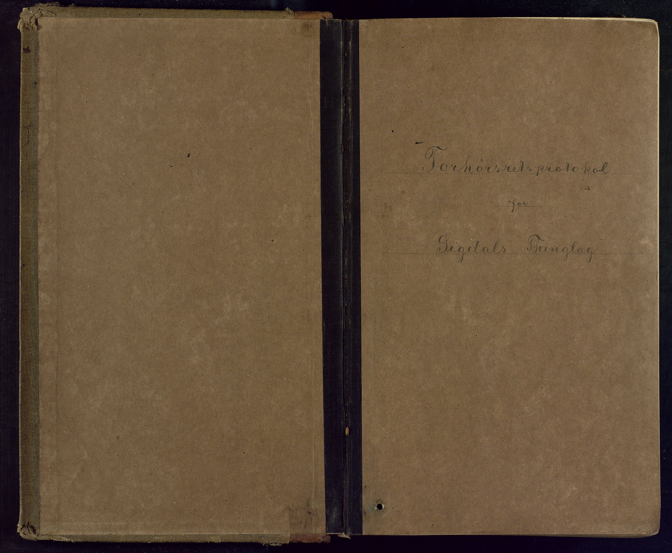 Eiker, Modum og Sigdal sorenskriveri, SAKO/A-123/F/Fc/L0017: Ekstrarettsprotokoll - Sigdal, 1879-1896