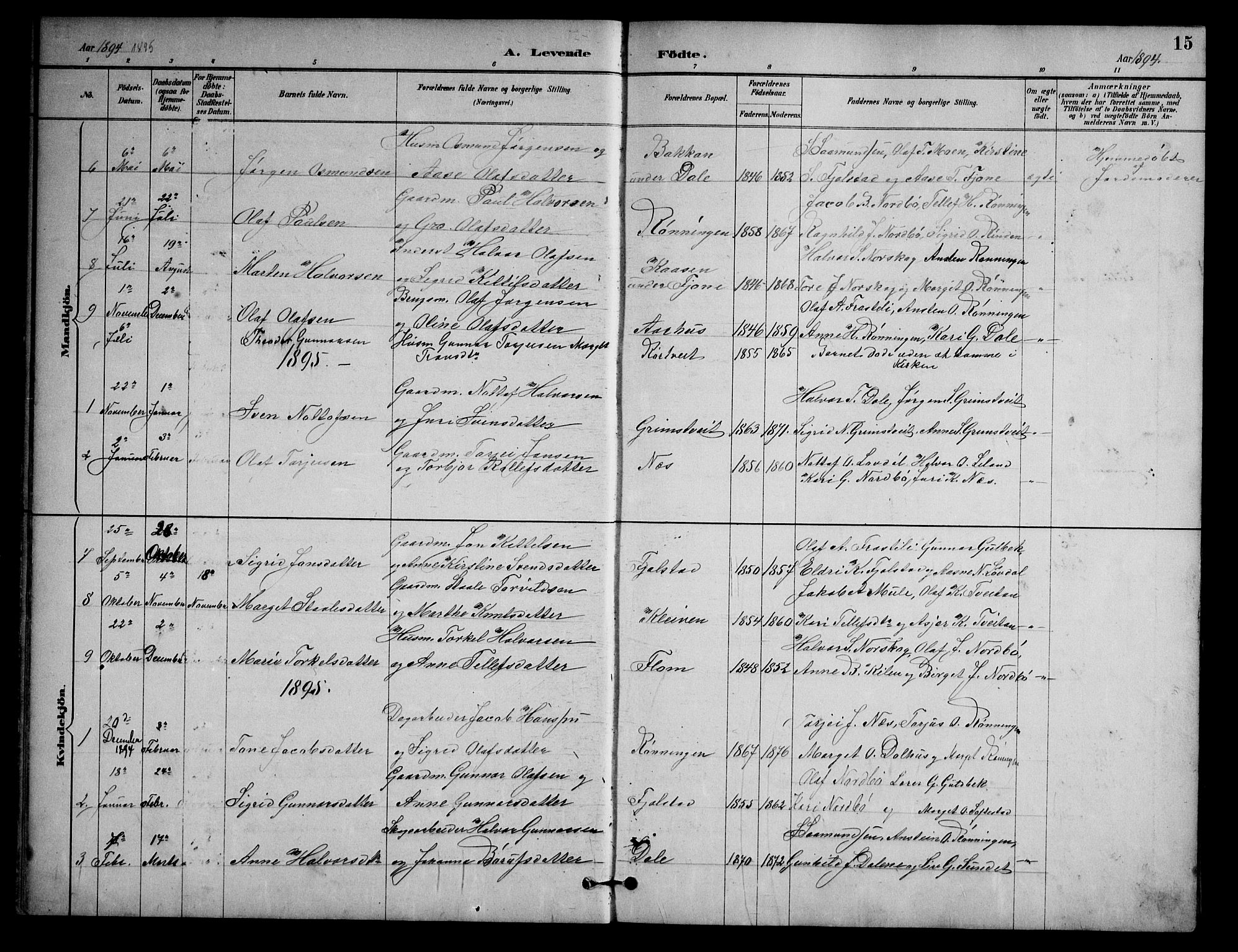 Nissedal kirkebøker, AV/SAKO-A-288/G/Ga/L0003: Klokkerbok nr. I 3, 1887-1911, s. 15