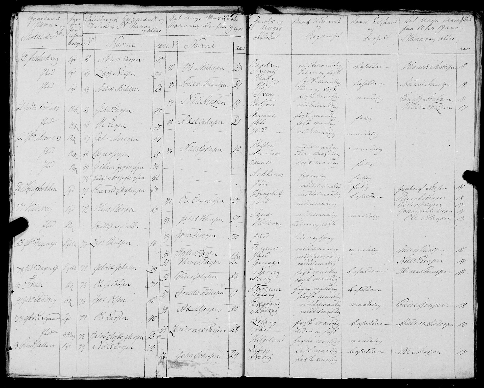 Fylkesmannen i Nordland, SAT/A-0499/1.1/R/Ra/L0023: Innrulleringsmanntall for Ofoten, 1810-1836, s. 101