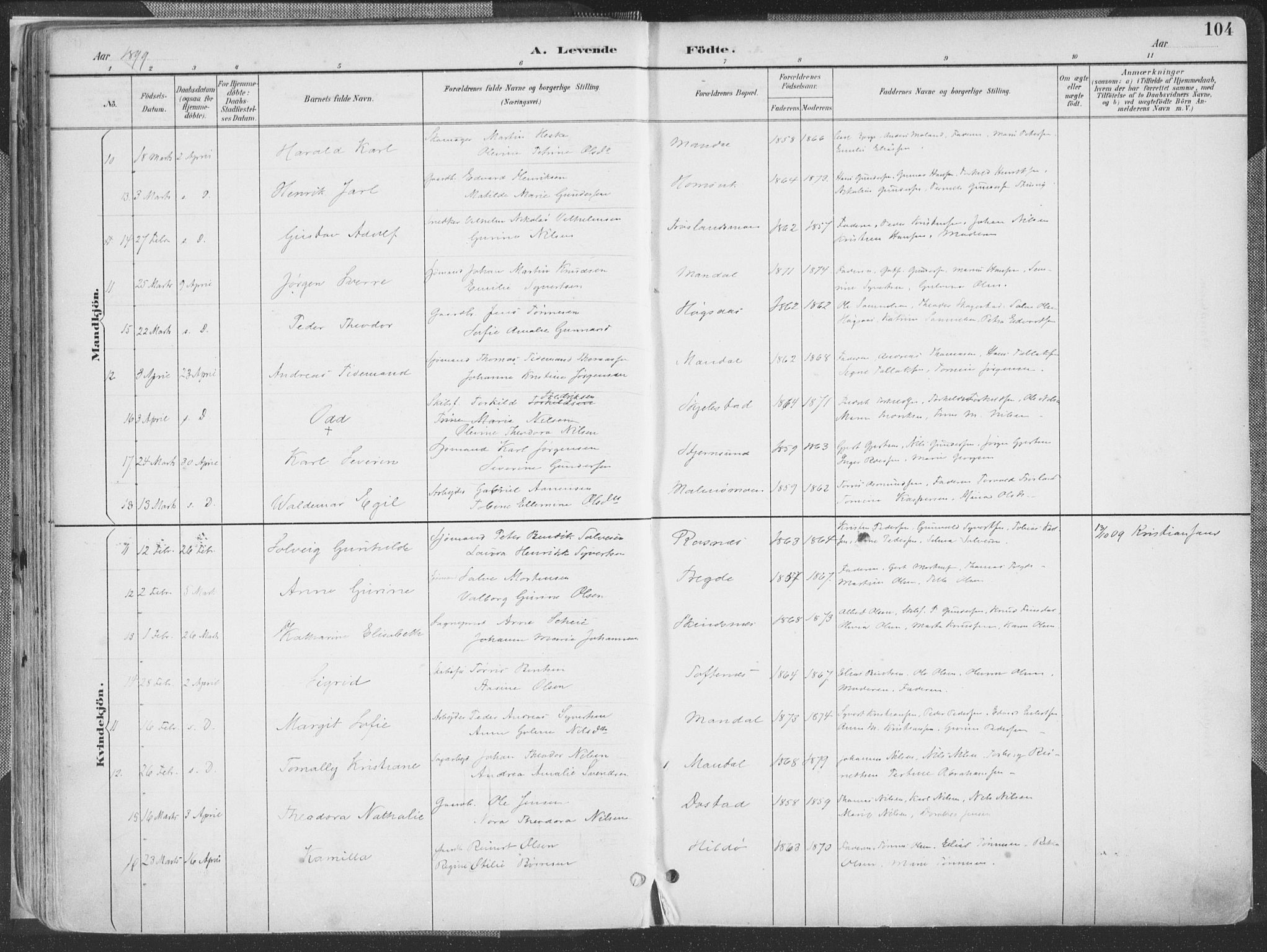 Mandal sokneprestkontor, SAK/1111-0030/F/Fa/Faa/L0018: Ministerialbok nr. A 18, 1890-1905, s. 104